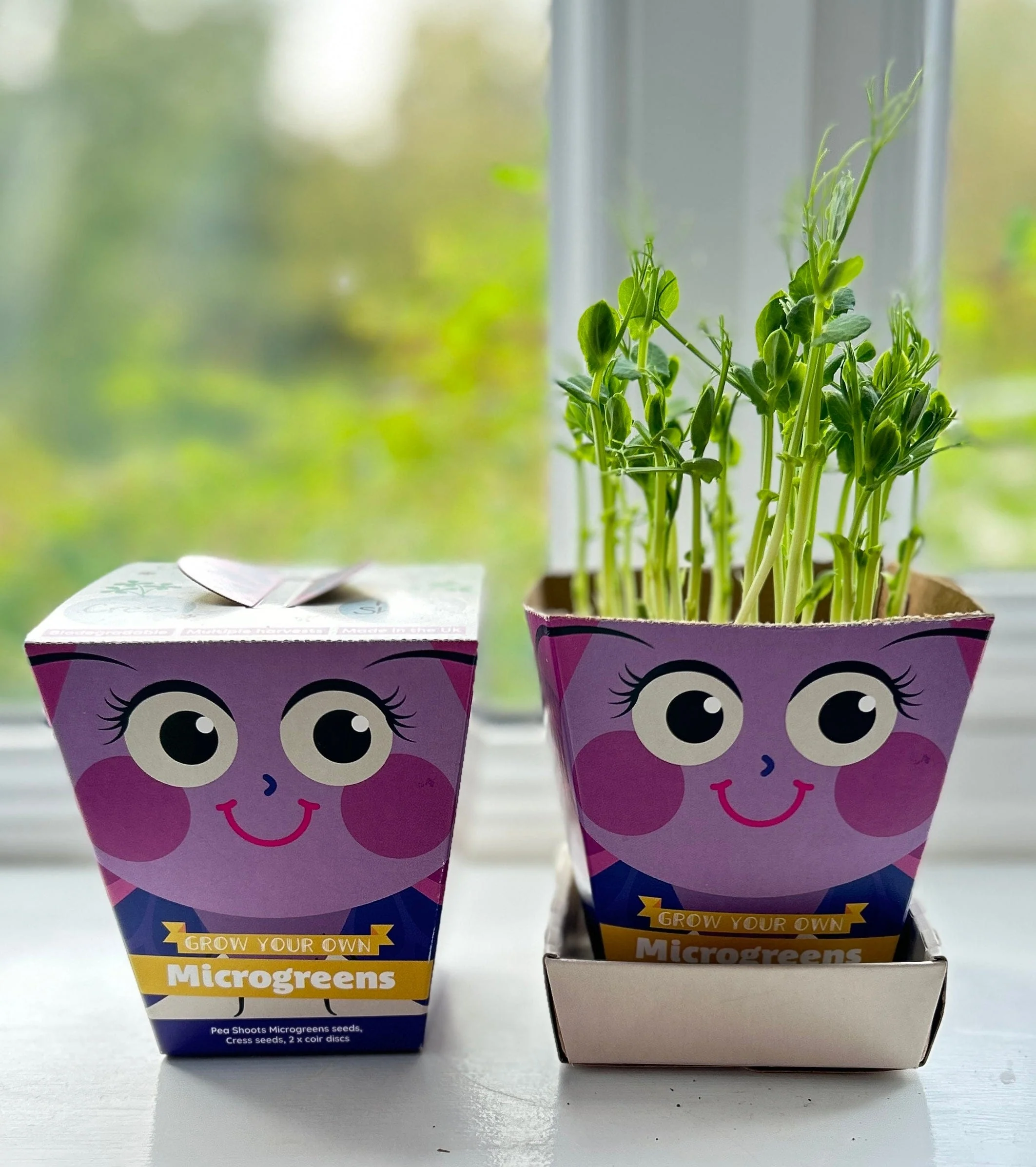 Children's Microgreens & Cress Head Growing Kit - Pea Shoots - Image 3