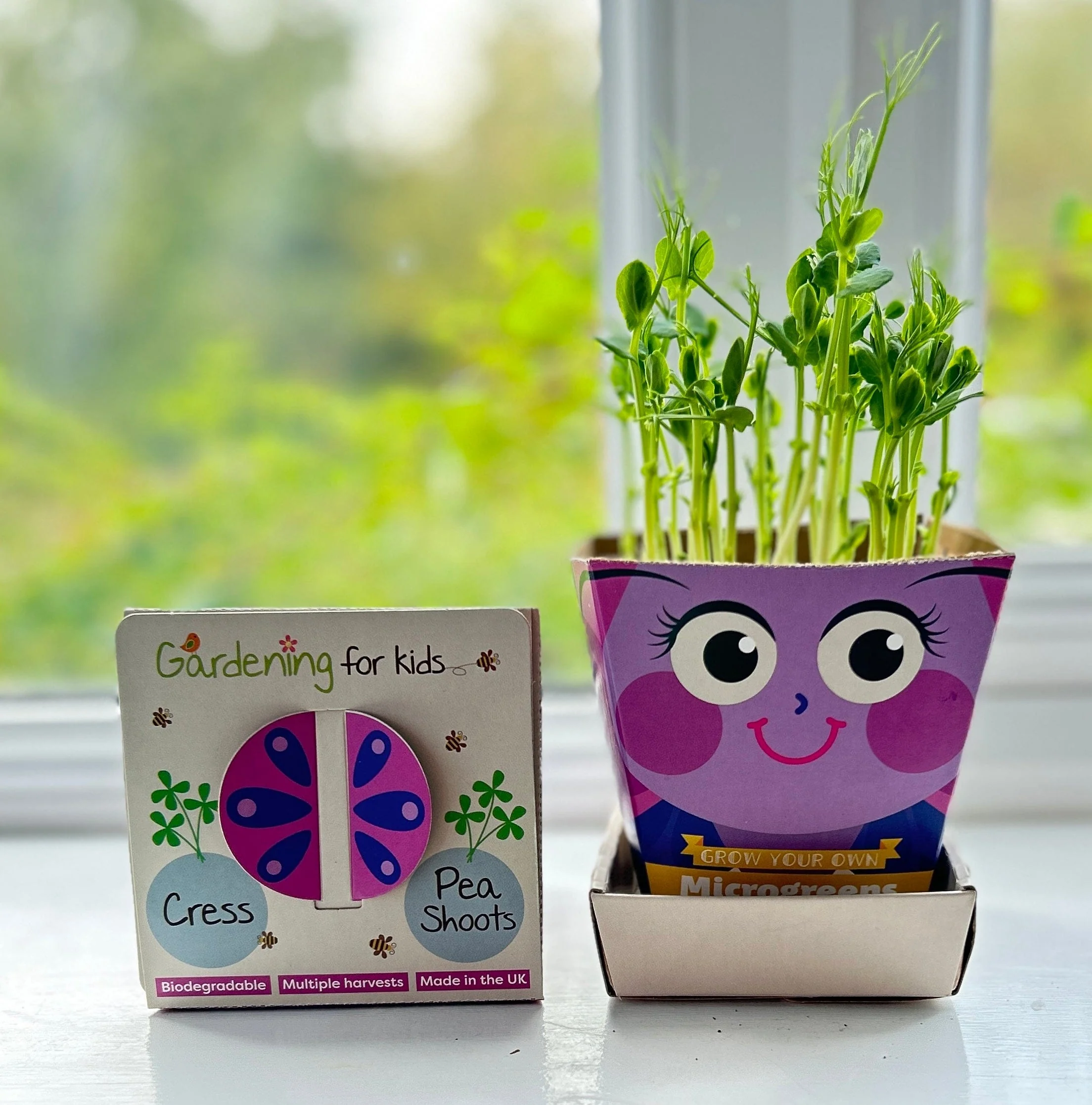 Children's Microgreens & Cress Head Growing Kit - Pea Shoots - Image 4