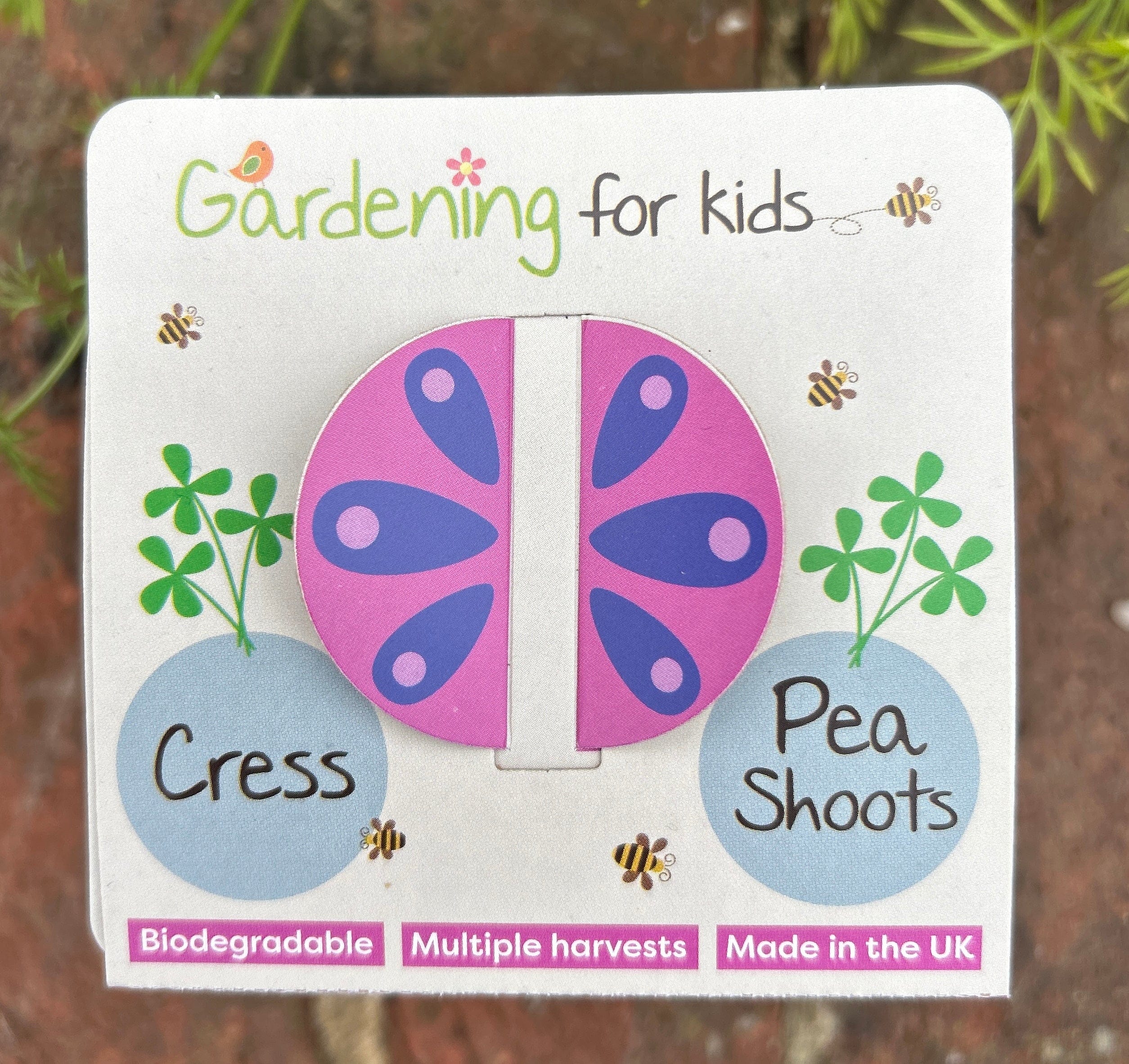 Children's Microgreens & Cress Head Growing Kit - Pea Shoots - Image 7