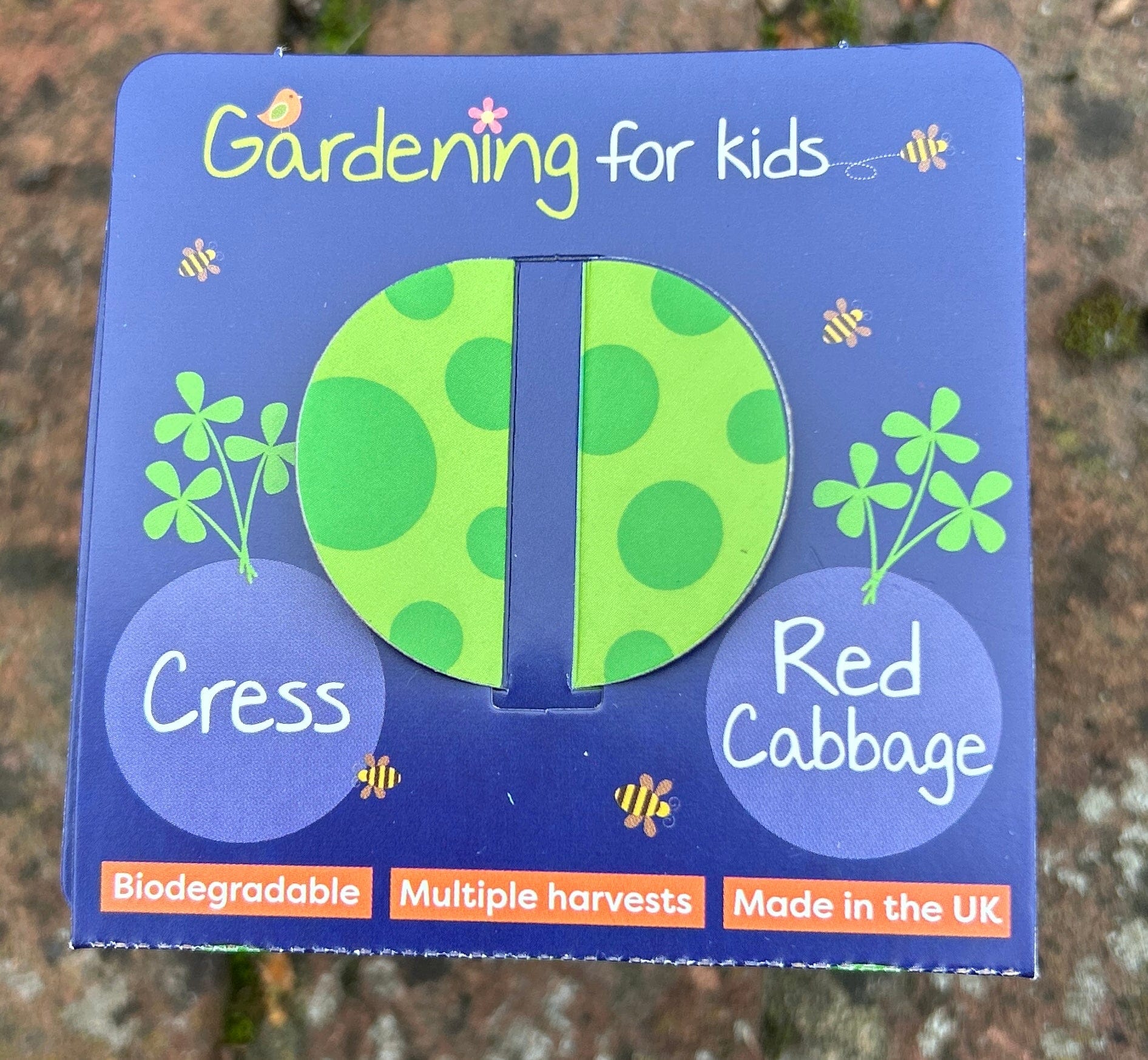Children's Microgreens & Cress Head Growing Kit - Red Cabbage - Image 5