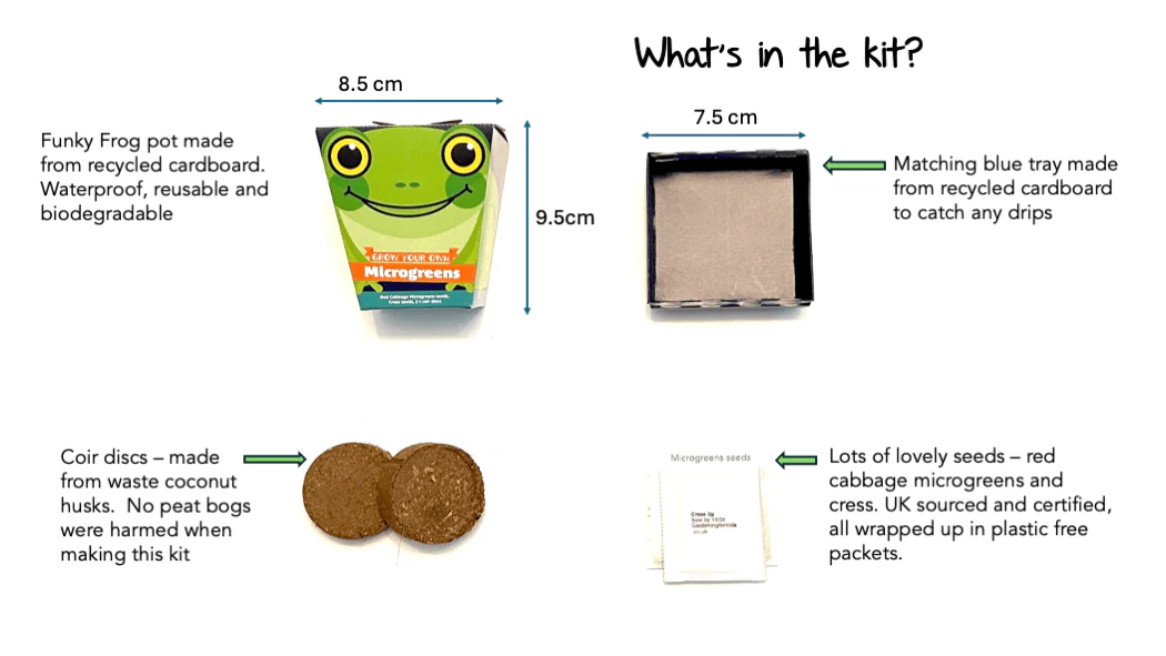 Children's Microgreens & Cress Head Growing Kit - Red Cabbage - Image 7