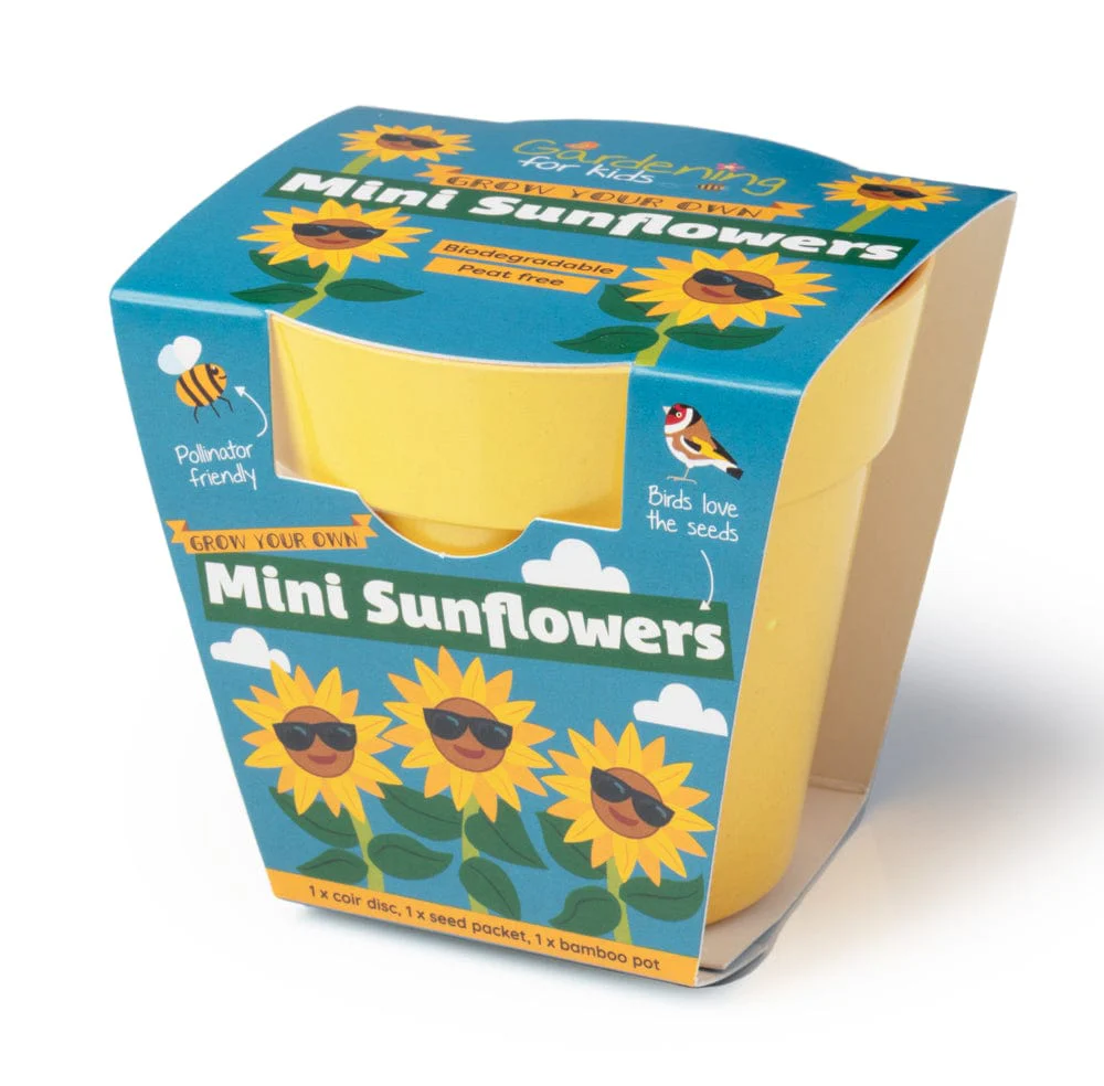Mini Sunflower Growing Kit with Pot - Image 3