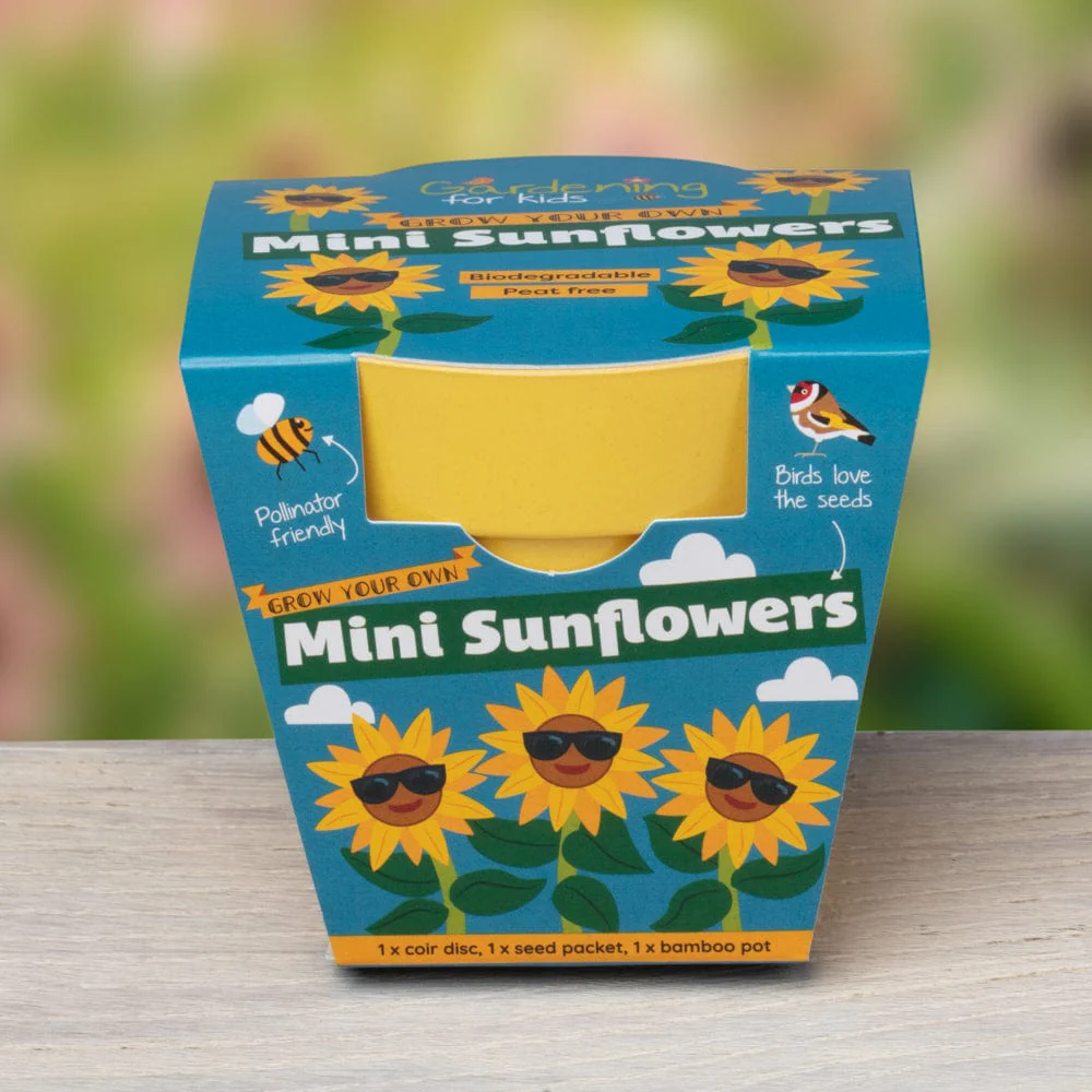Mini Sunflower Growing Kit with Pot - Image 4