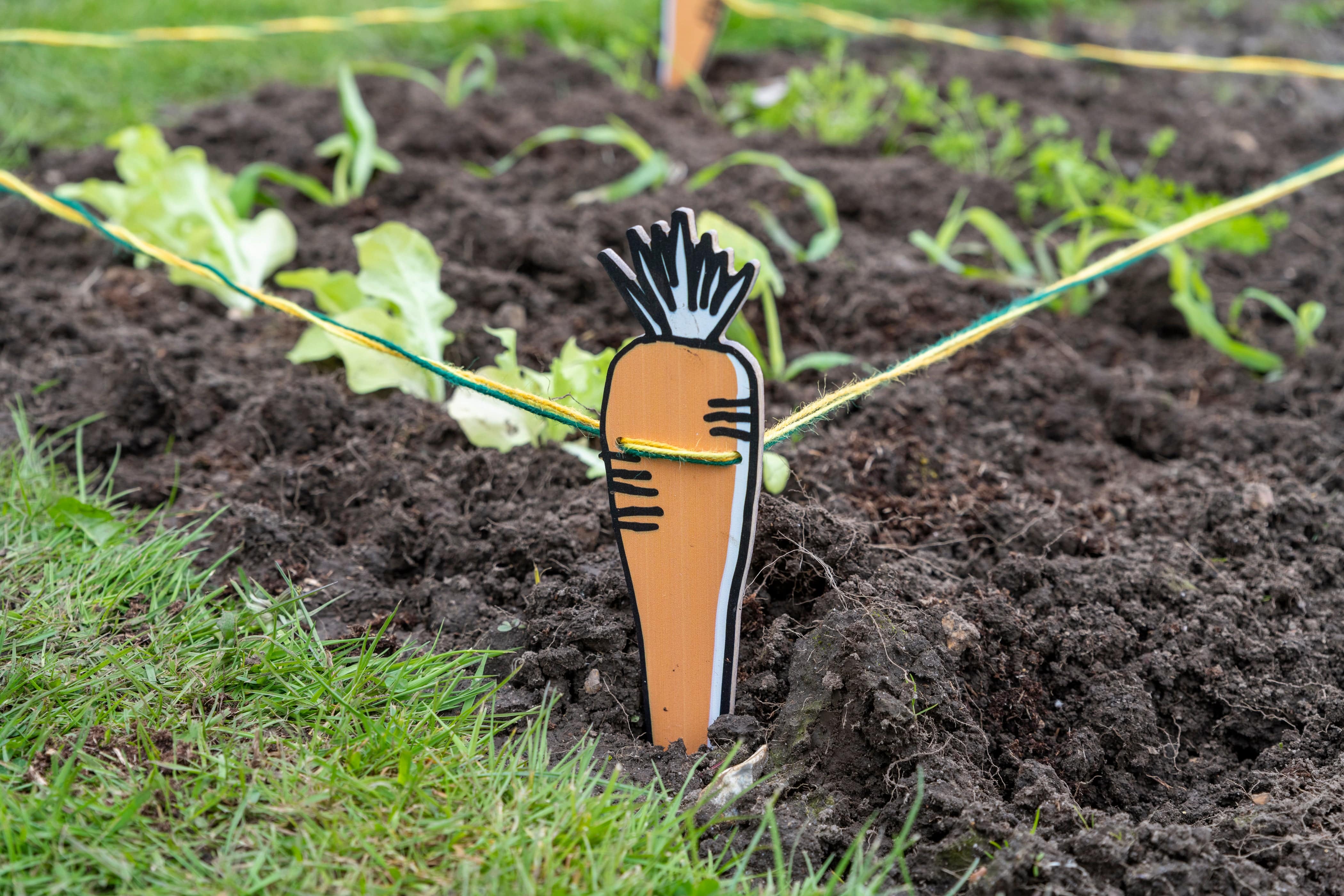 Children's 'My Vegetable Garden Patch' Garden marker Set - Image 3