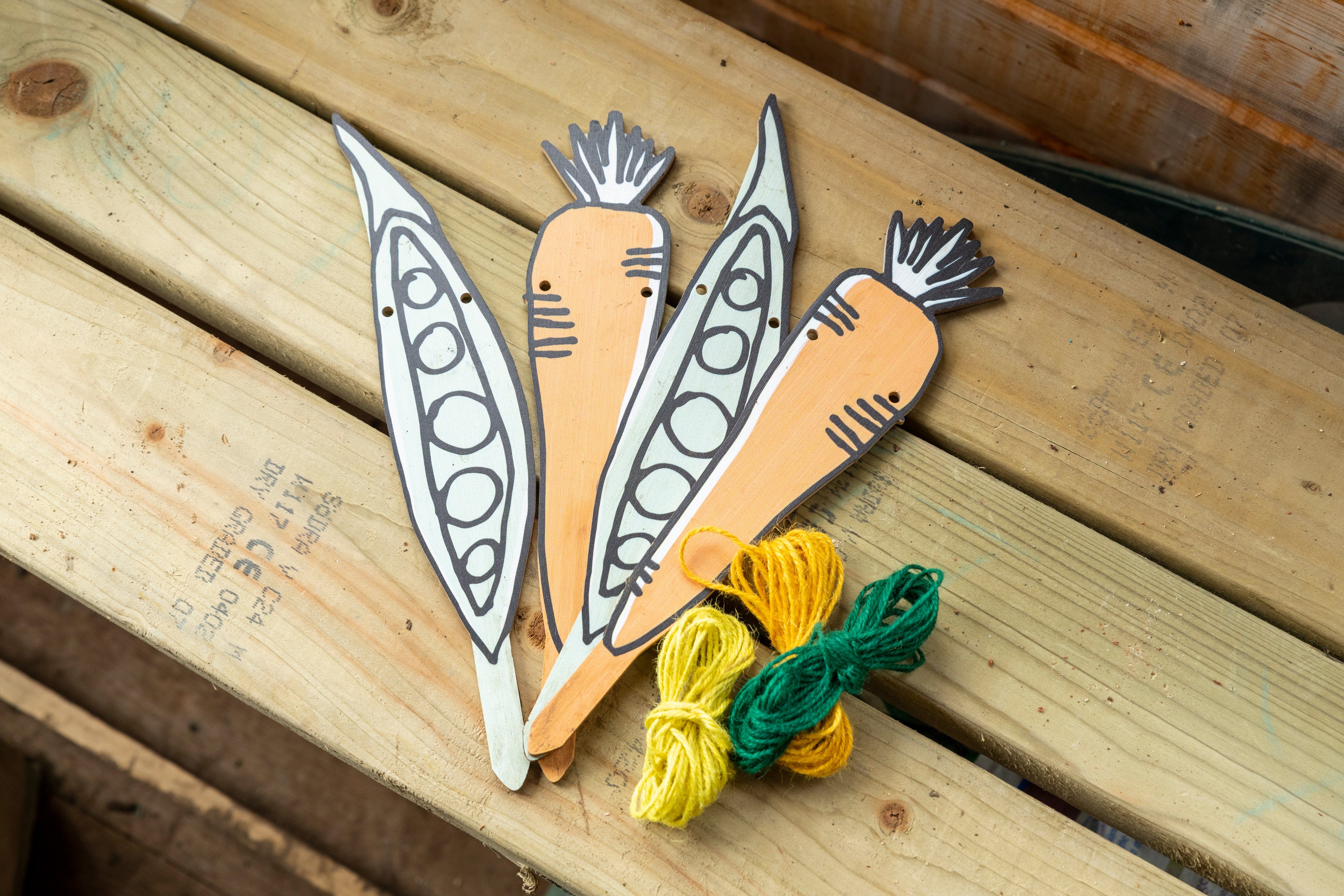 Children's 'My Vegetable Garden Patch' Garden marker Set - Image 6