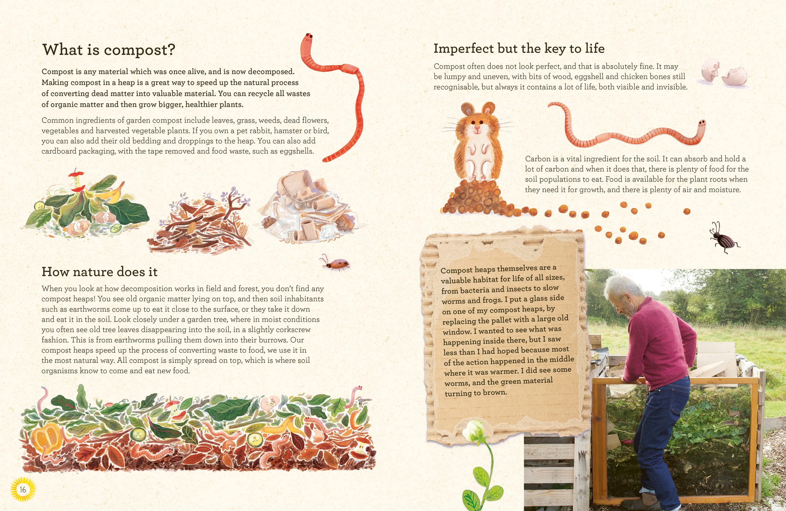 No Dig Children's Gardening Book - Image 4
