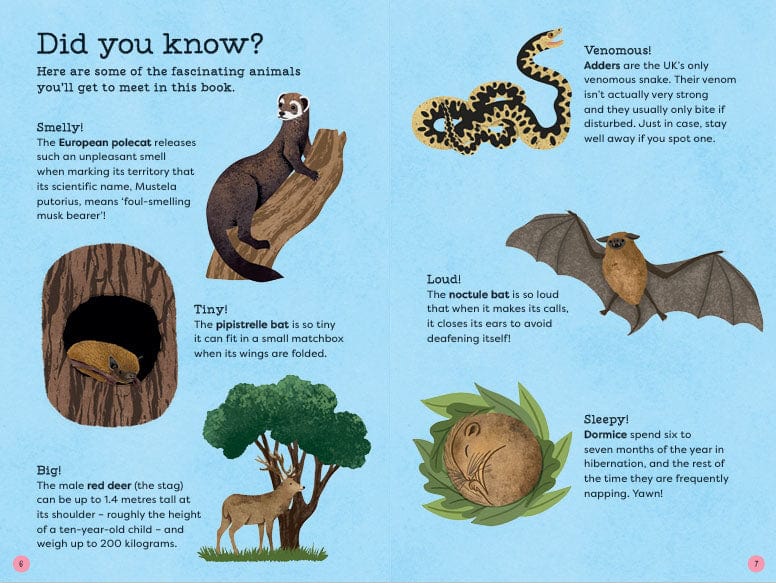 Out and About Animal Spotter Children's Nature Book - Image 3