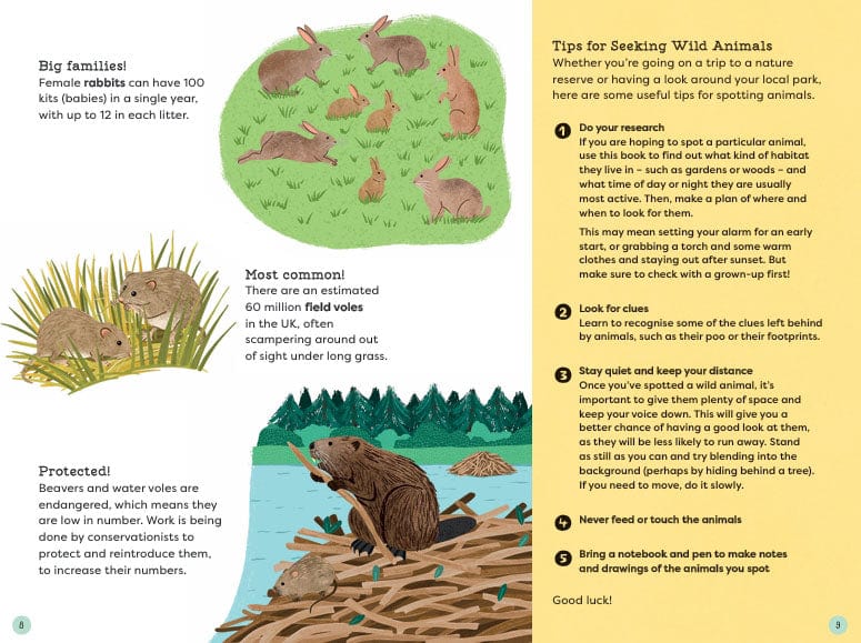 Out and About Animal Spotter Children's Nature Book - Image 4
