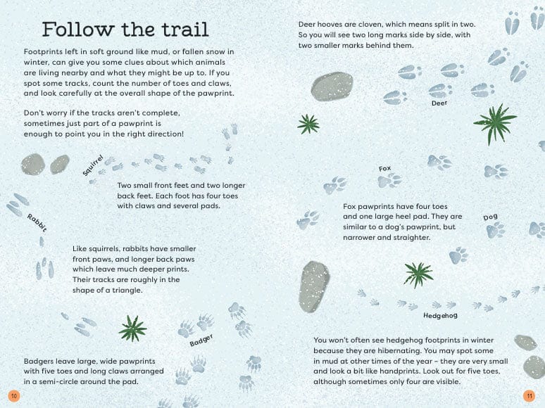 Out and About Animal Spotter Children's Nature Book - Image 5