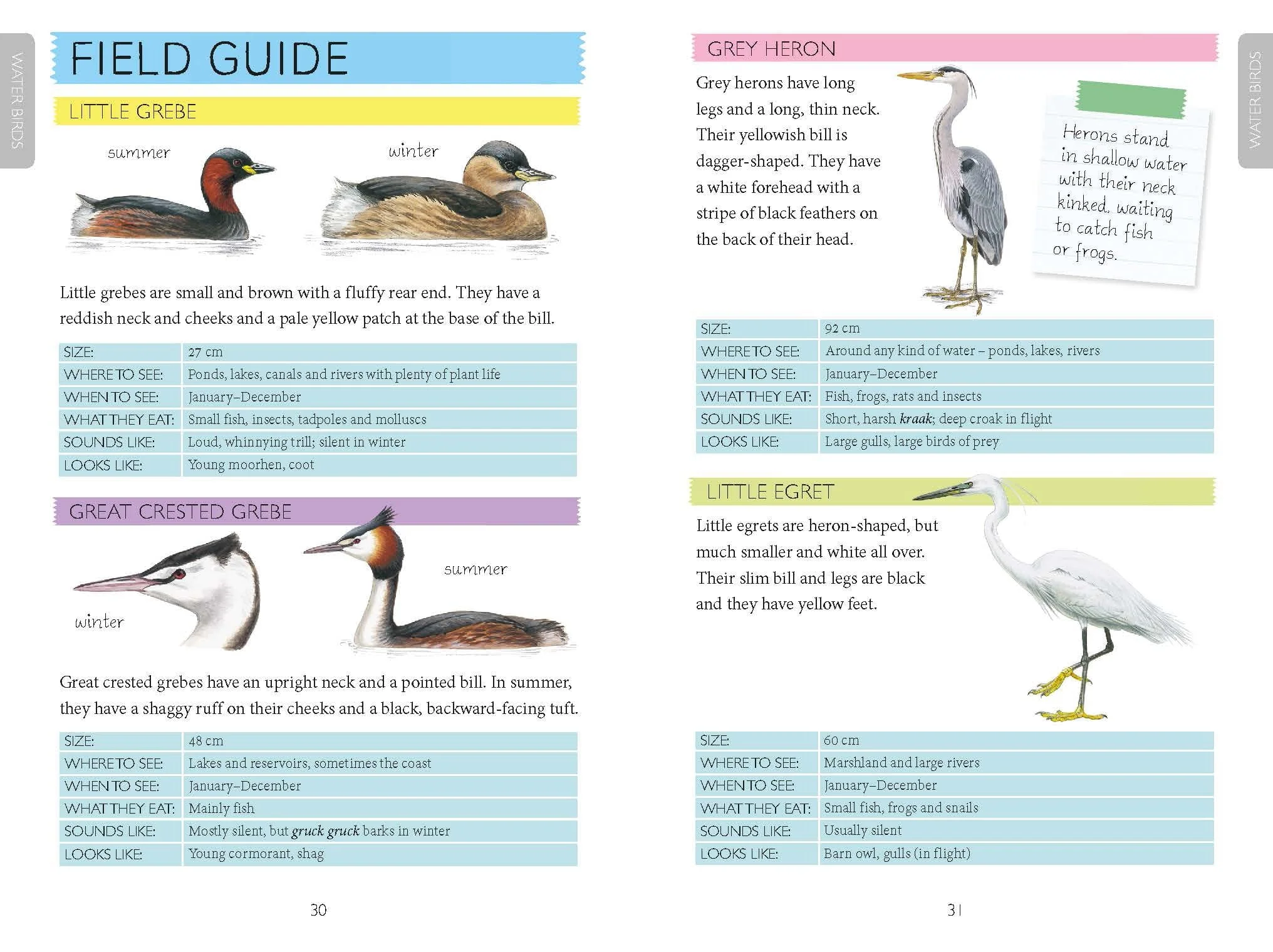 Out and About Bird Spotter Children's Nature Book - Image 3