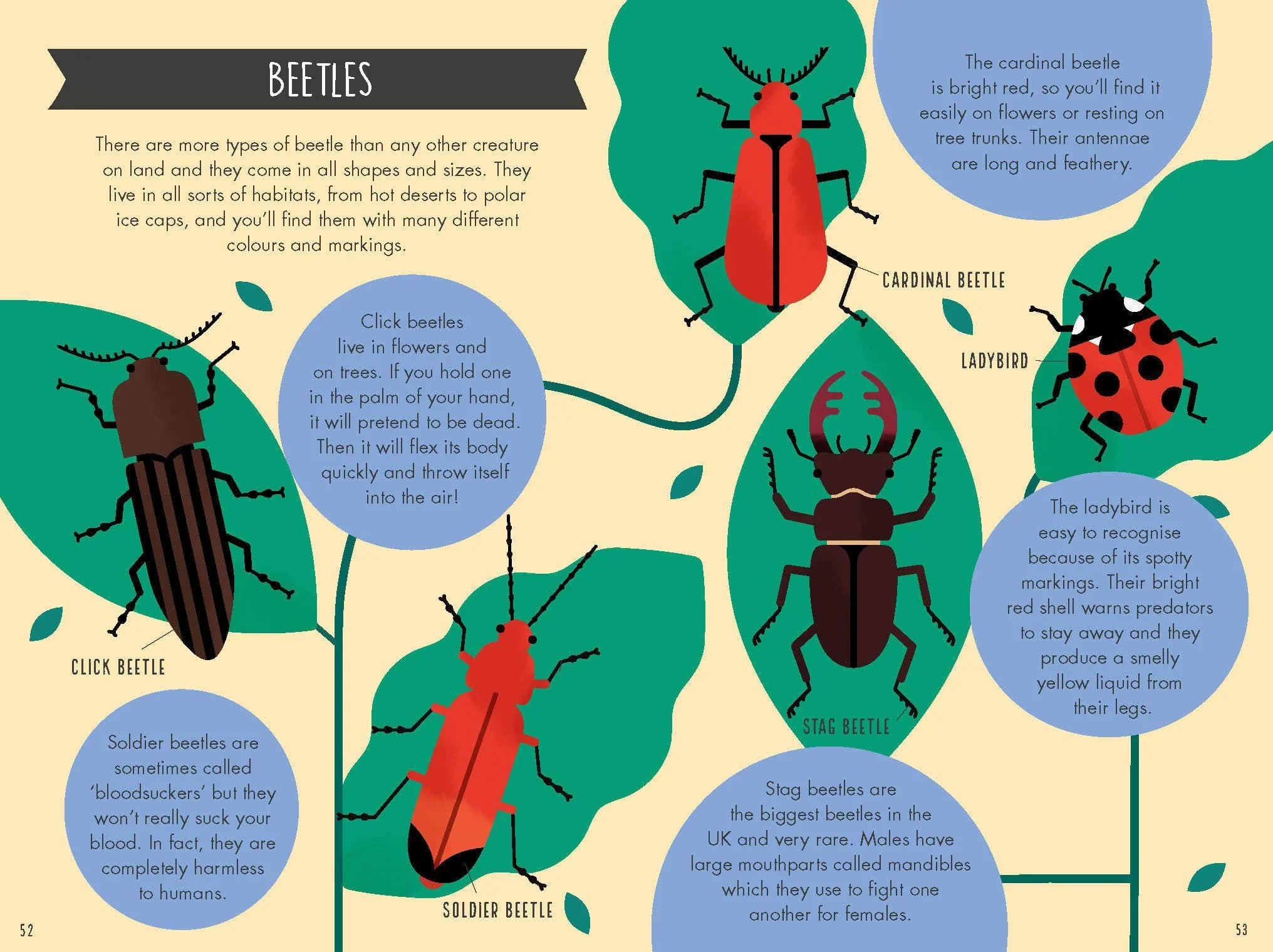 Out and About Minibeast Explorer - children's nature book - Image 4