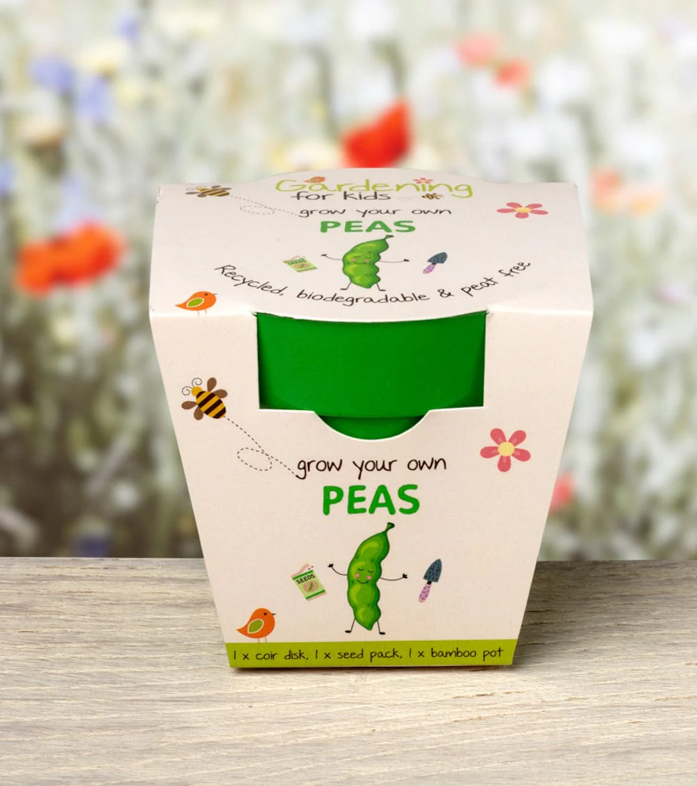 Children's Grow Your Own Peas Growing Kit with Pot - Image 3