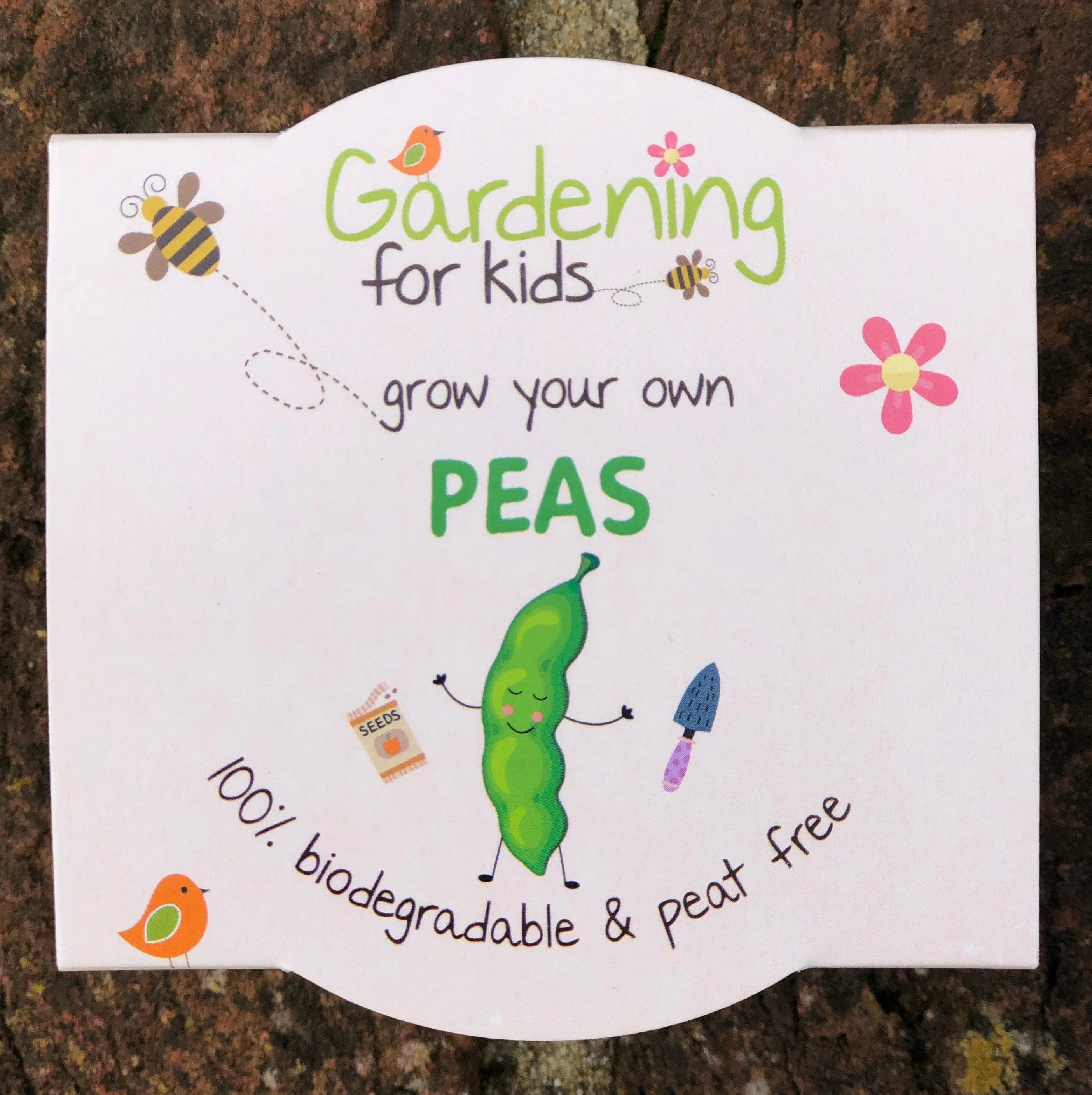 Children's Grow Your Own Peas Growing Kit with Pot - Image 4