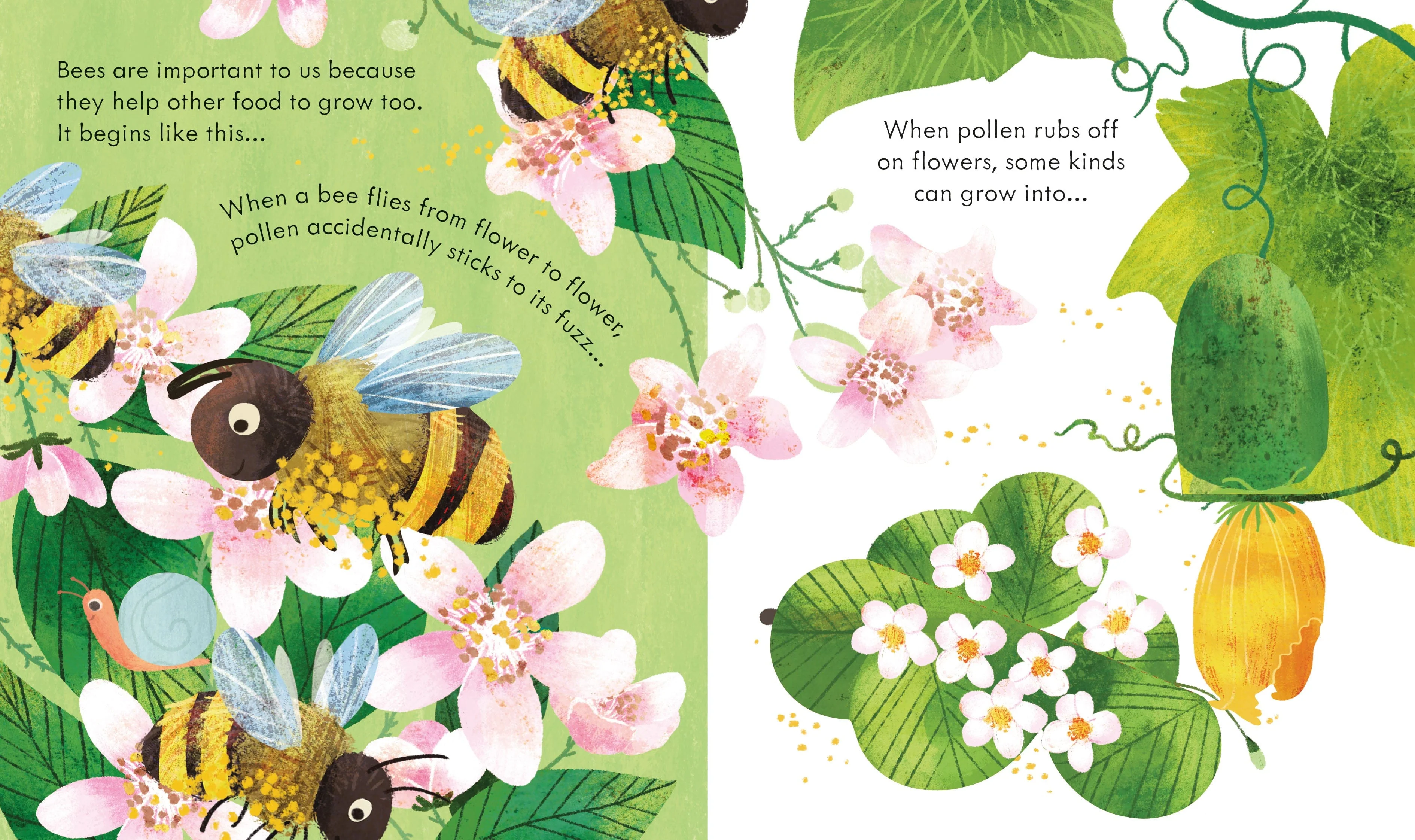 Peep Inside a Beehive Children's Lift the Flap Nature Book - Image 3
