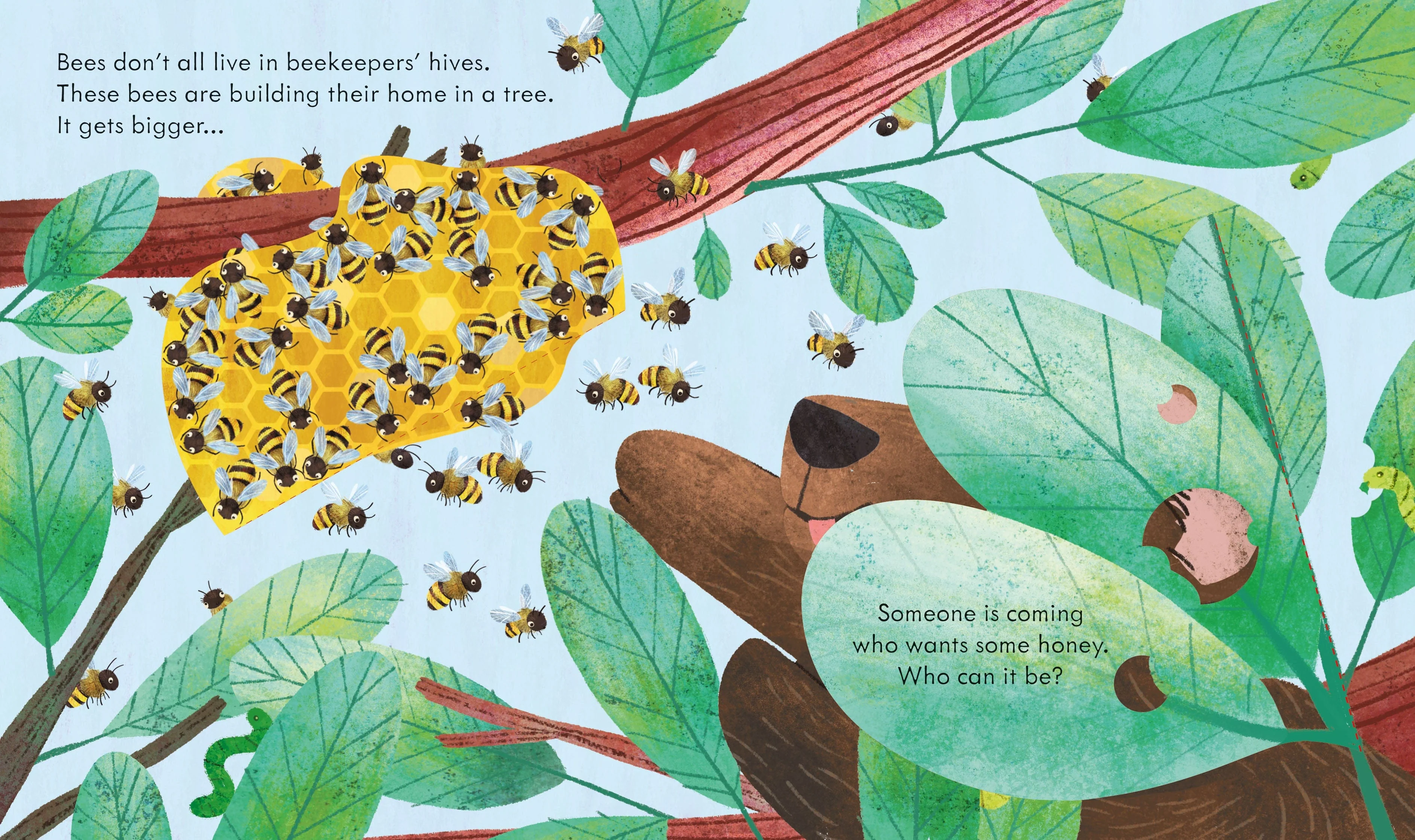 Peep Inside a Beehive Children's Lift the Flap Nature Book - Image 4