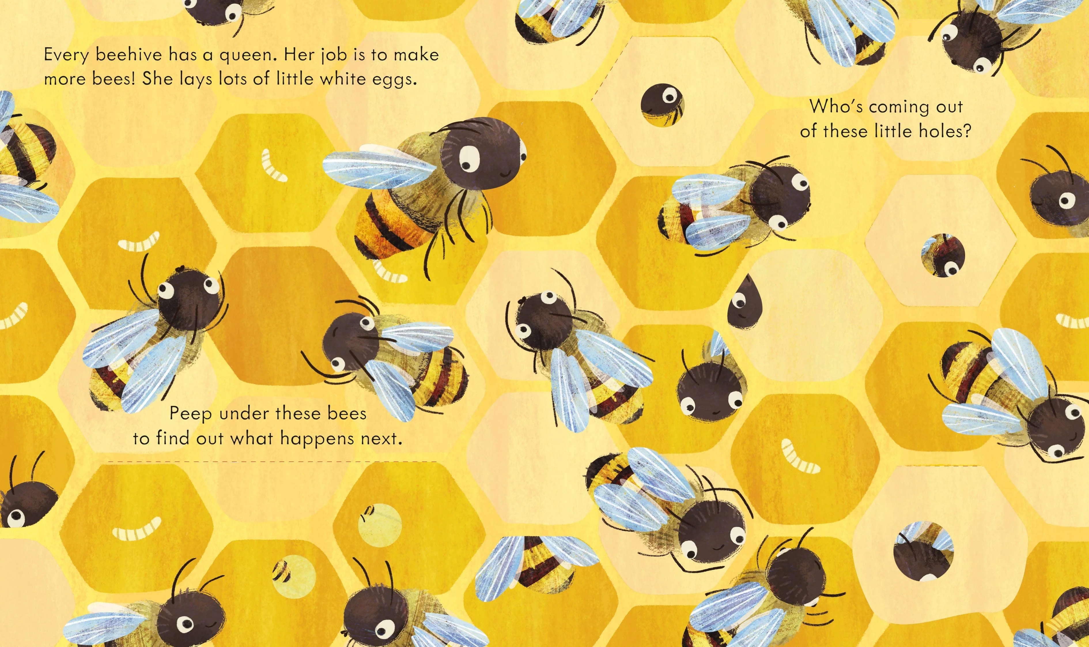 Peep Inside a Beehive Children's Lift the Flap Nature Book - Image 5