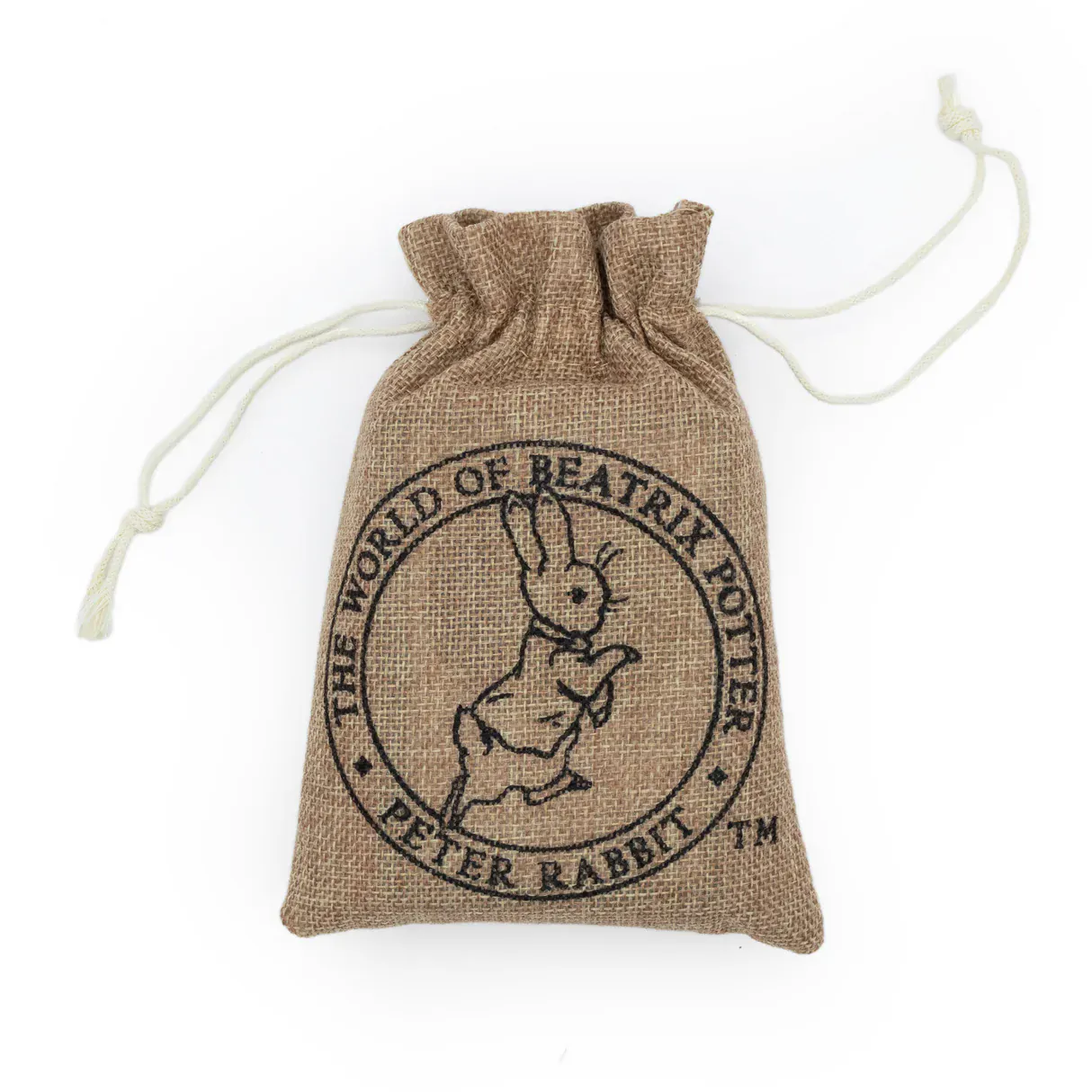Peter Rabbit Bug Spotter Kit - Image 3