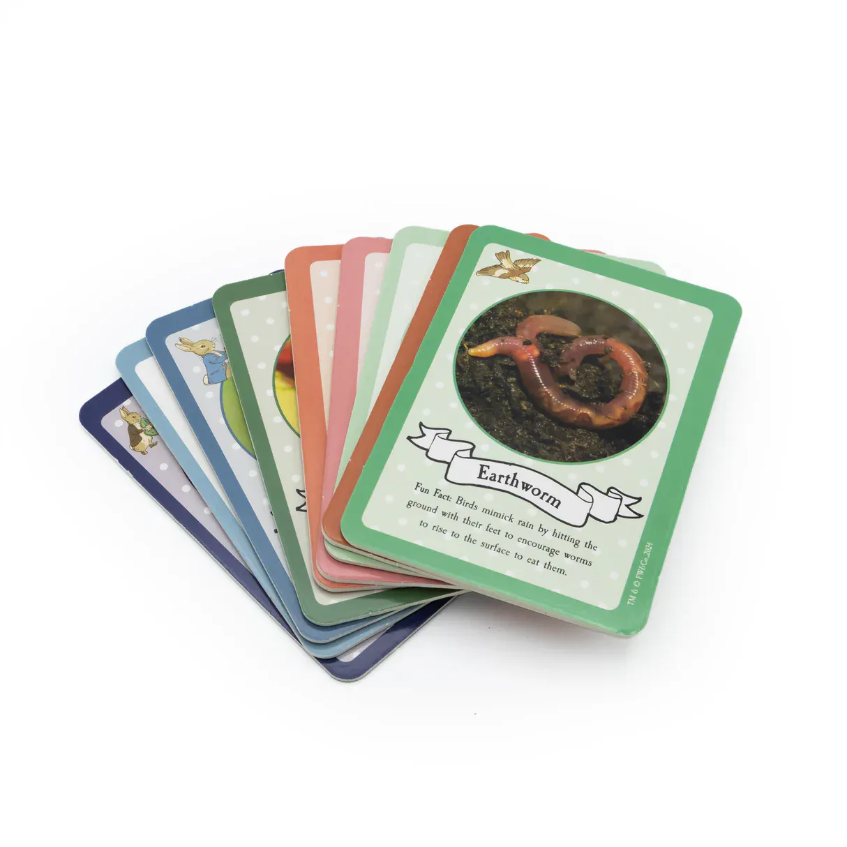 Peter Rabbit Bug Spotter Kit - Image 4