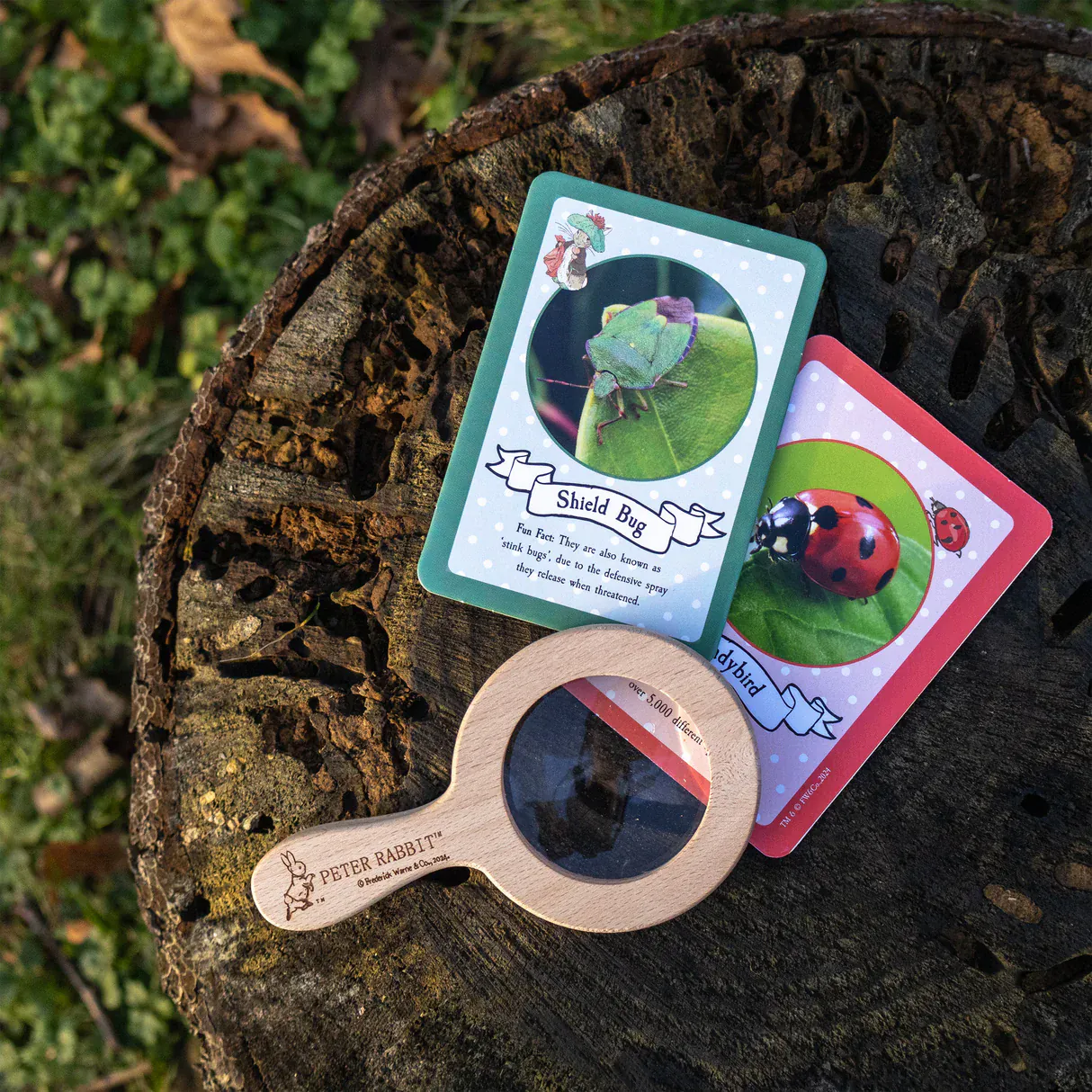 Peter Rabbit Bug Spotter Kit - Image 6