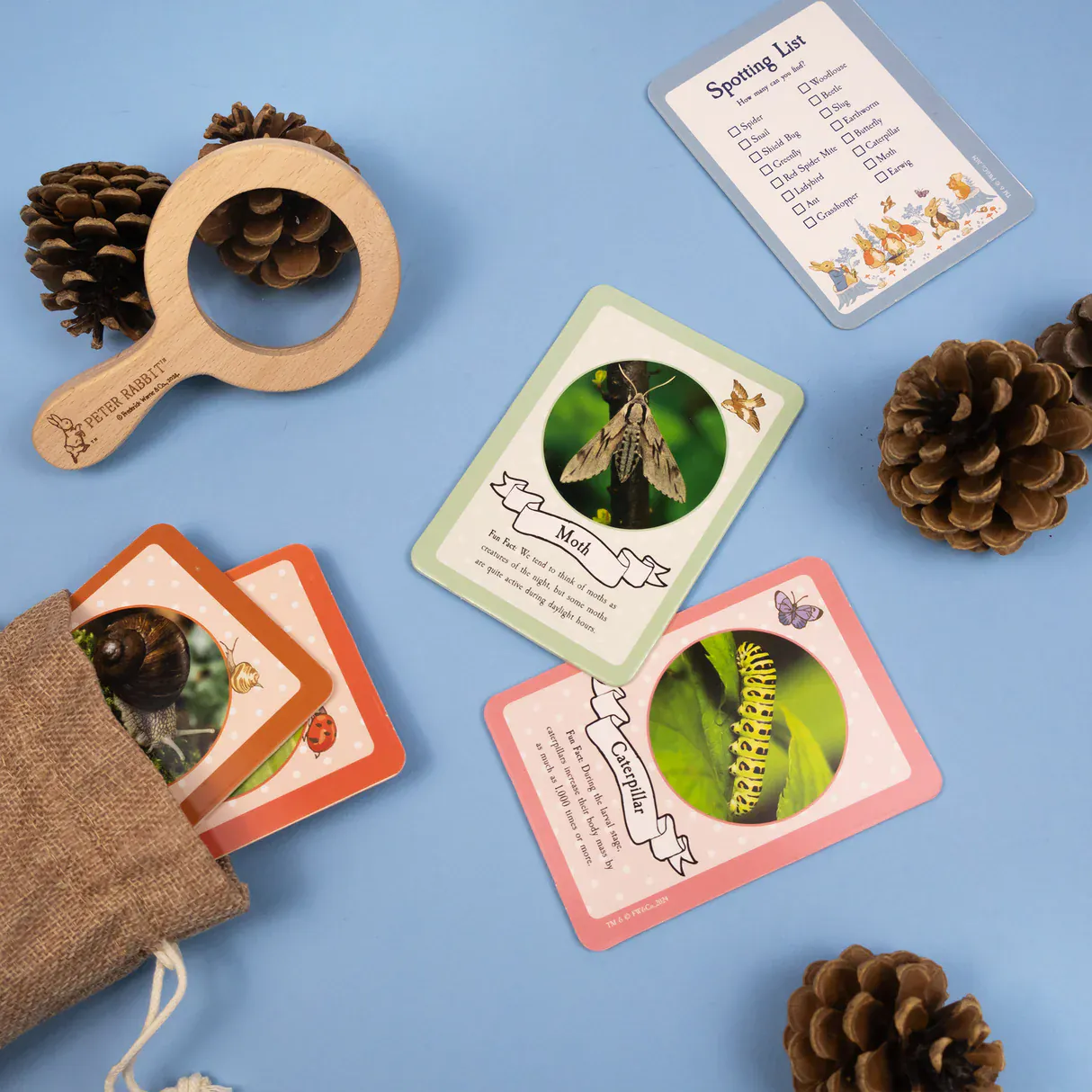 Peter Rabbit Bug Spotter Kit - Image 7