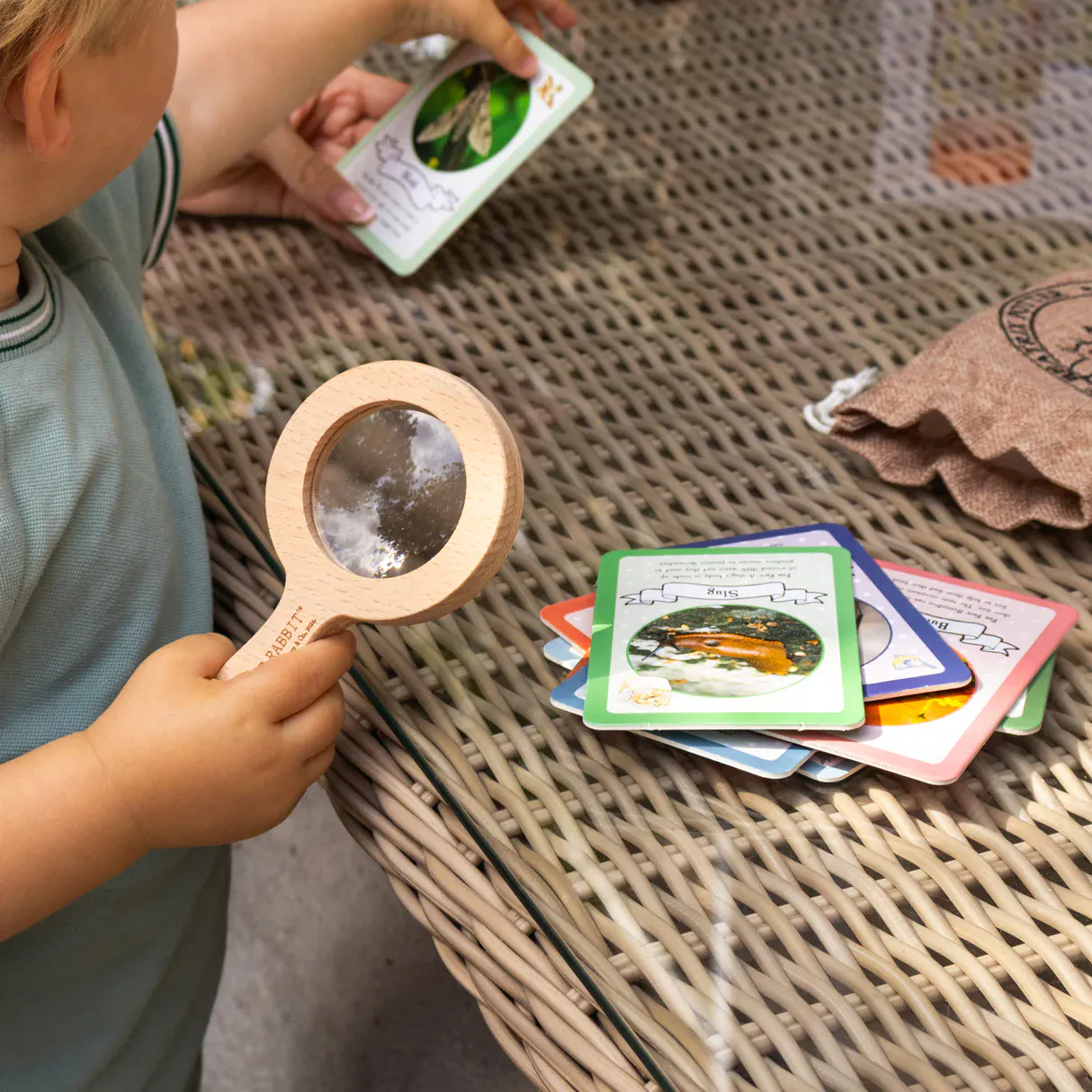 Peter Rabbit Bug Spotter Kit - Image 8
