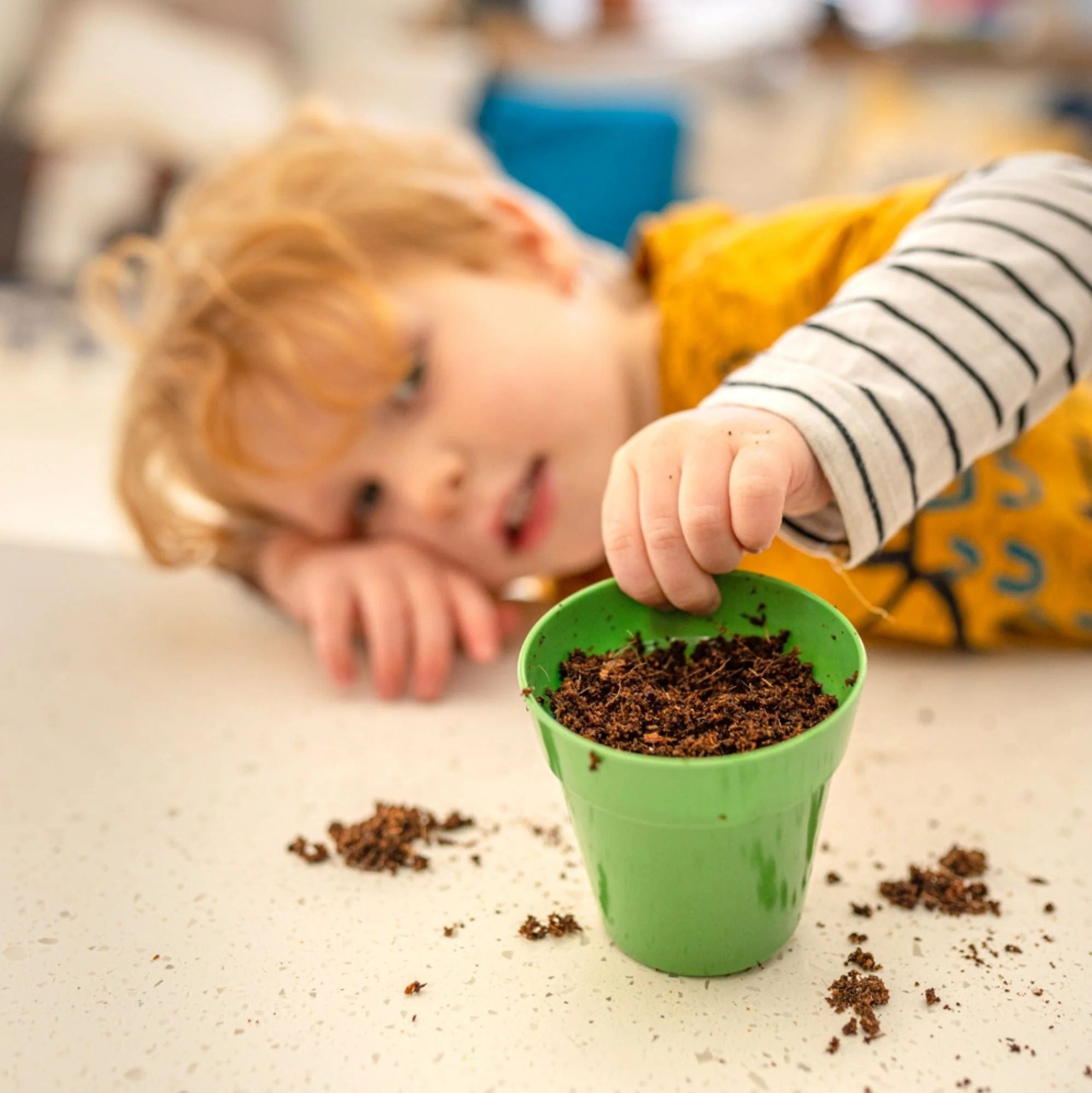 Pizza Toppings Growing Kit - Image 8