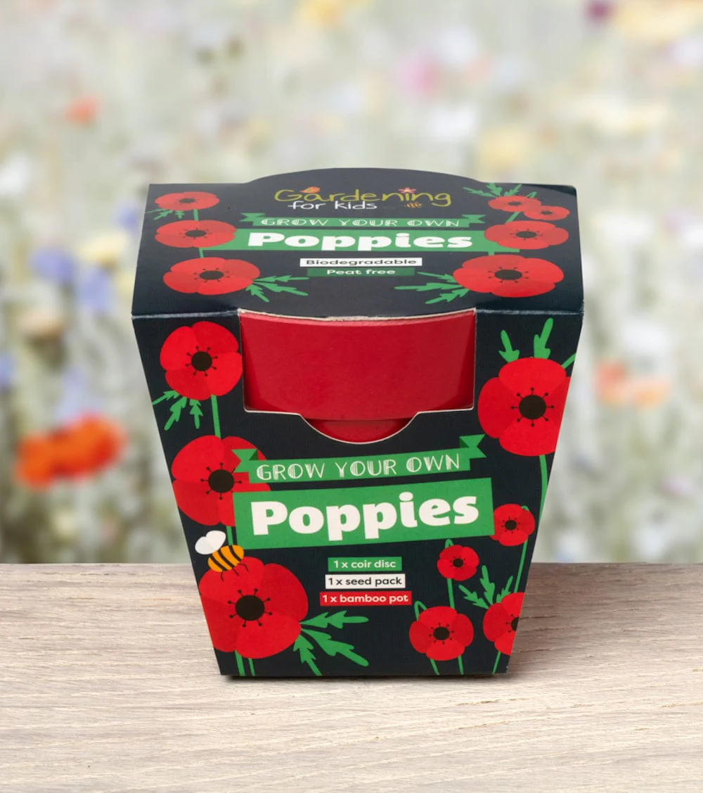 Poppies Wildflower Growing Kit with Pot - Image 3