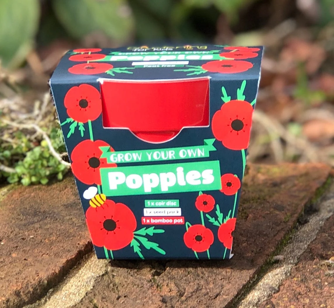 Poppies Wildflower Growing Kit with Pot - Image 4