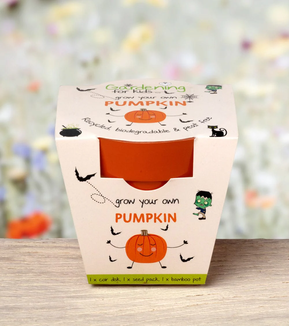 Pumpkin Growing Kit with Pot - Image 3