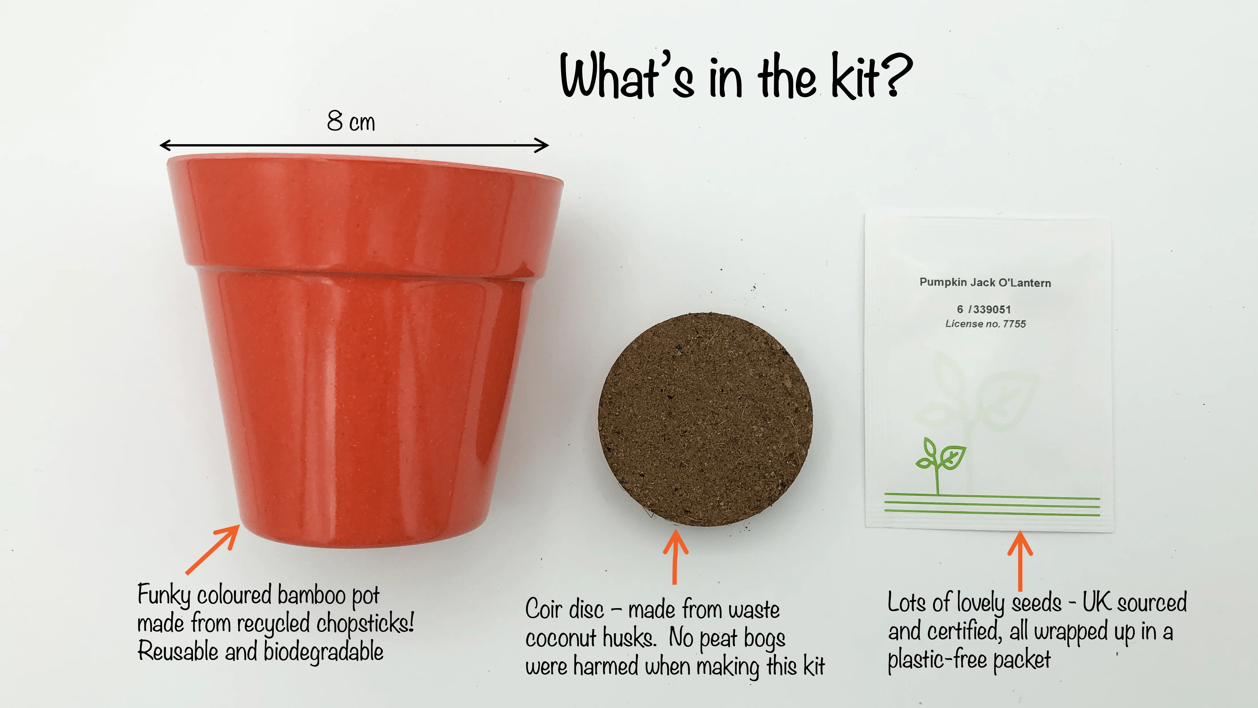 Pumpkin Growing Kit with Pot - Image 4