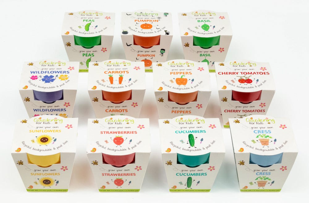 Pumpkin Growing Kit with Pot - Image 6