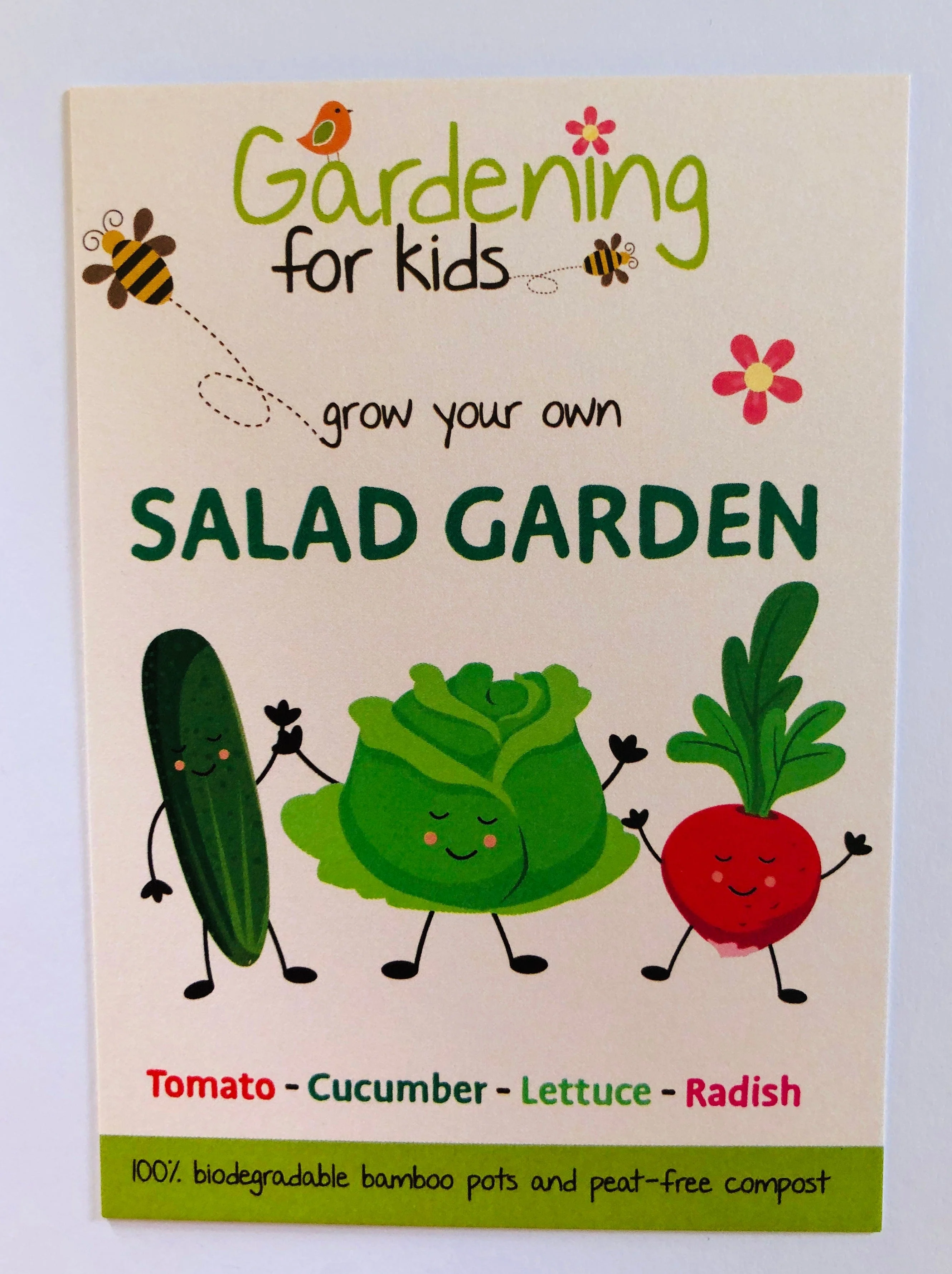 Salad Garden Growing Kit - Image 3
