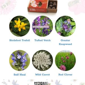 Seedballs - Bees Collection matchboxes - Image 7