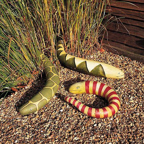 Snake Gourd Seeds - Image 3