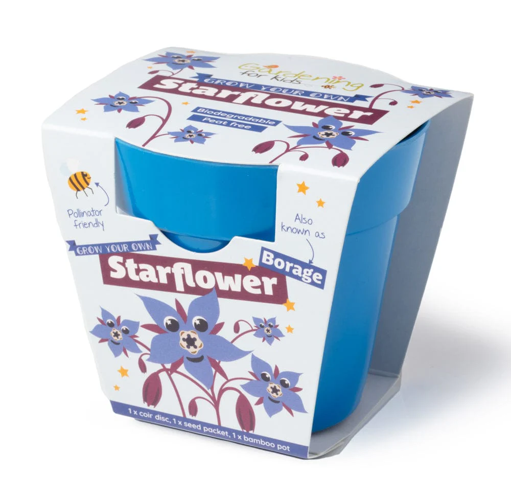 Starflower Borage Growing Kit with Pot - Image 4