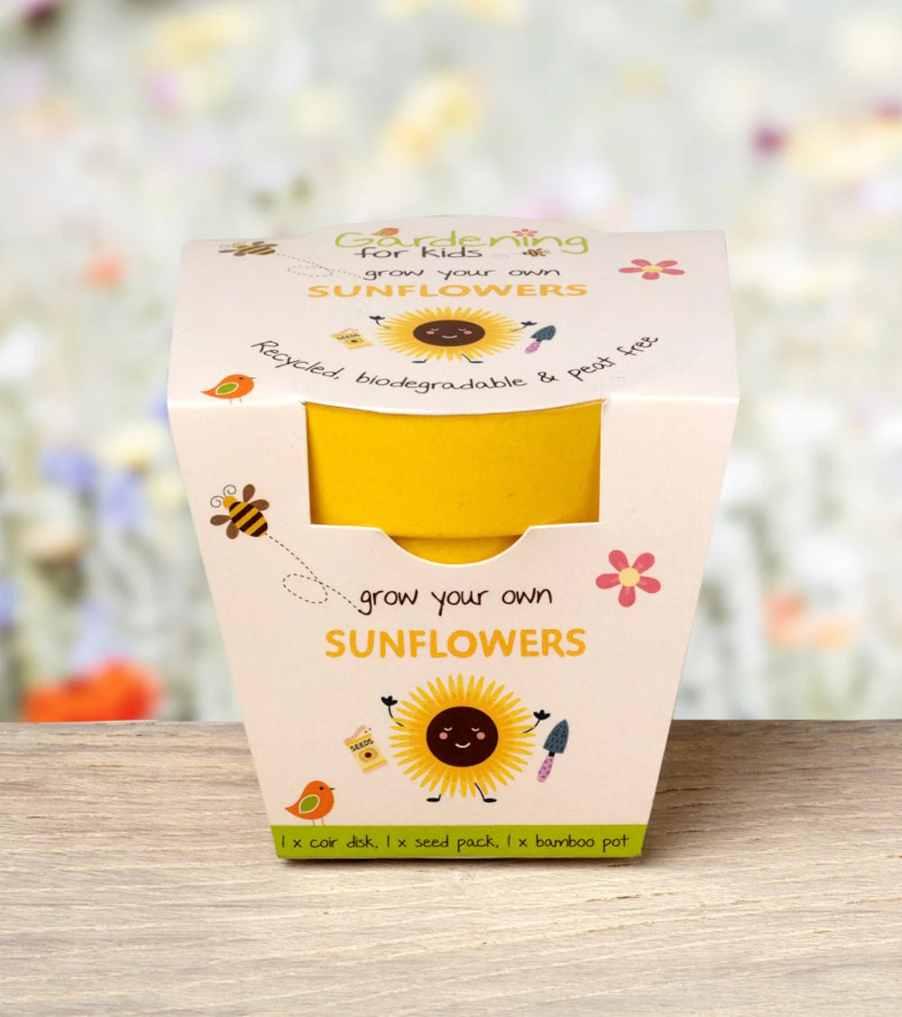 Sunflower Growing Kit with Pot - Image 3