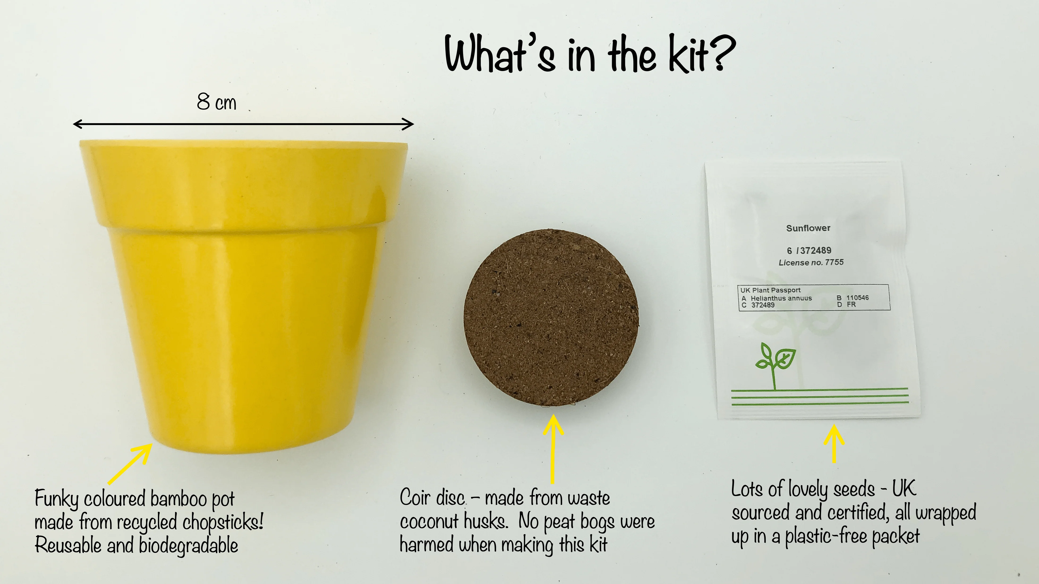 Sunflower Growing Kit with Pot - Image 4