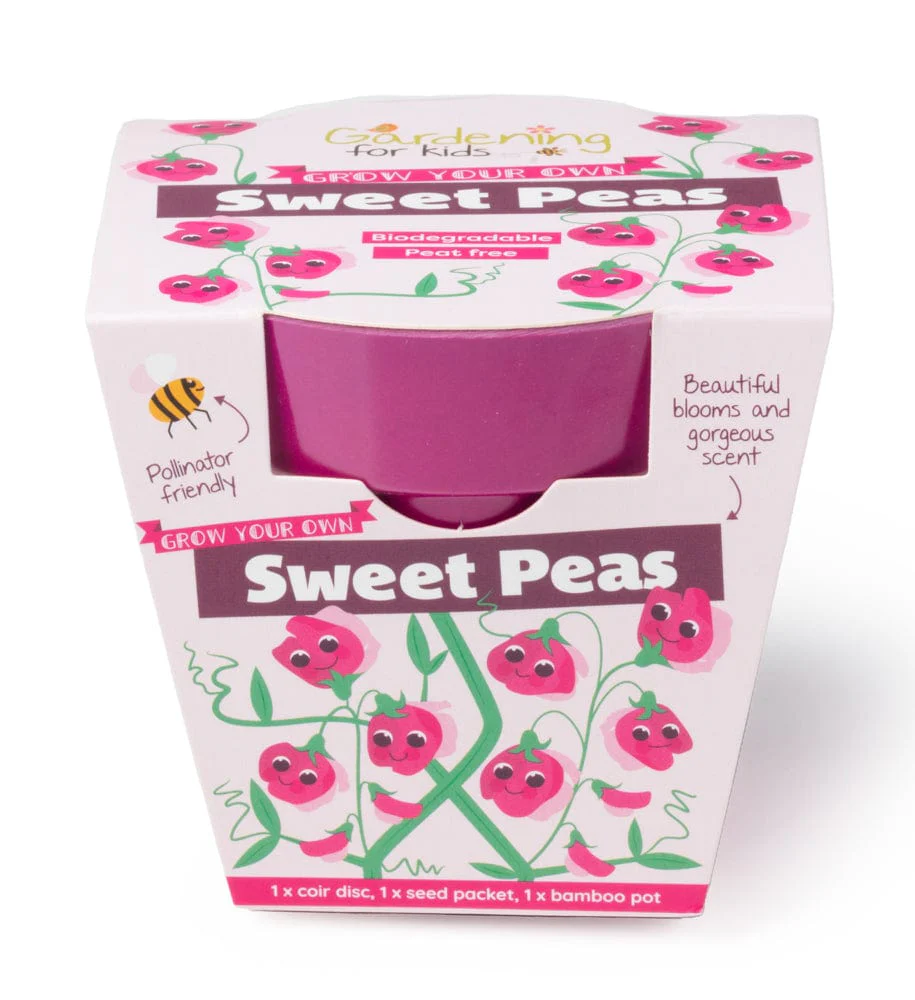 Sweet Pea Growing Kit with Pot - Image 3