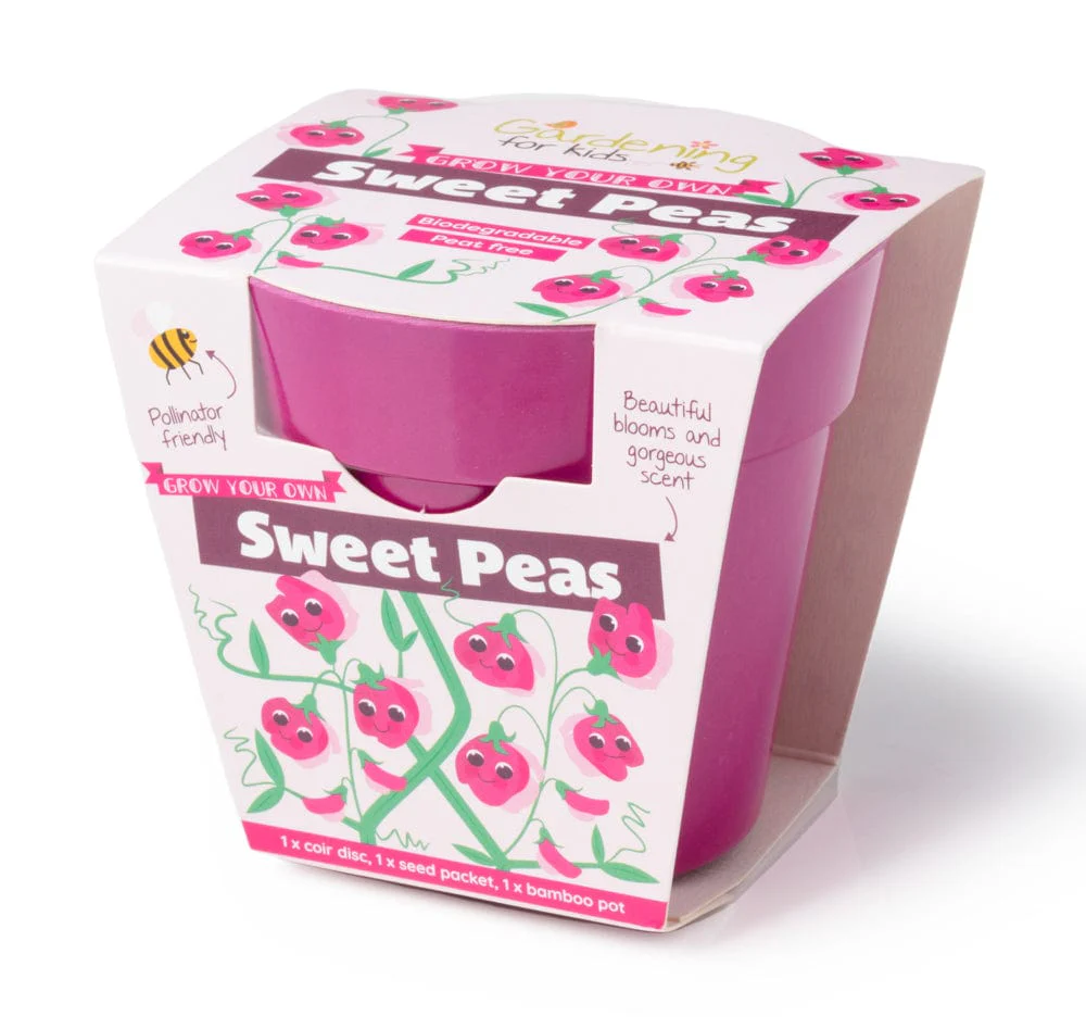 Sweet Pea Growing Kit with Pot - Image 4