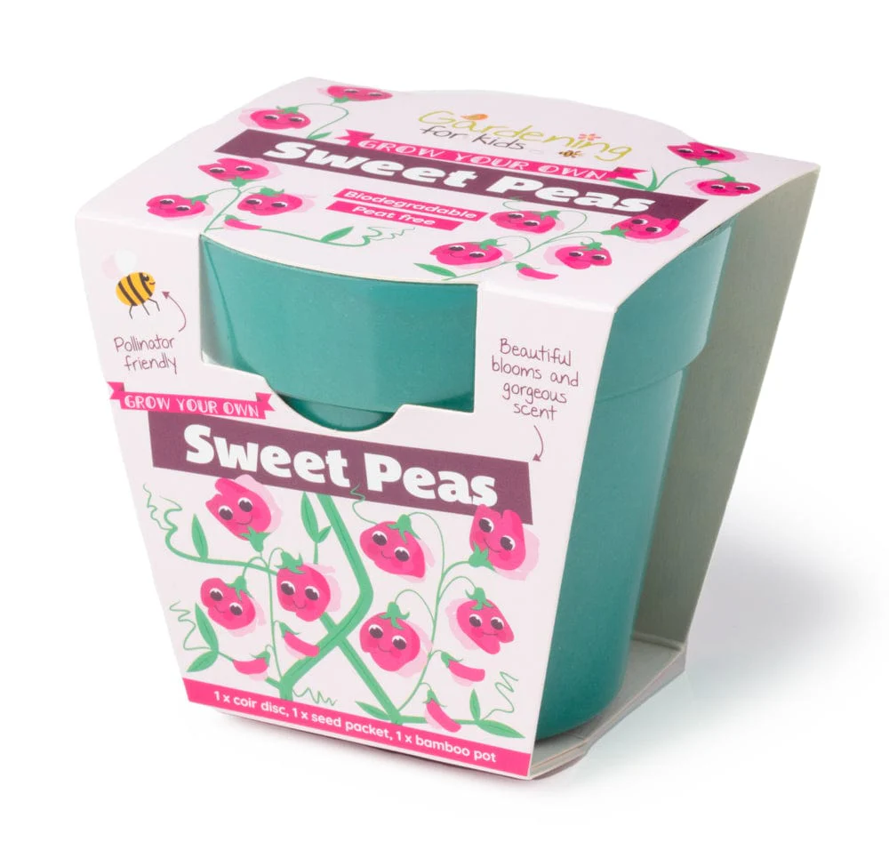 Sweet Pea Growing Kit with Pot - Image 5