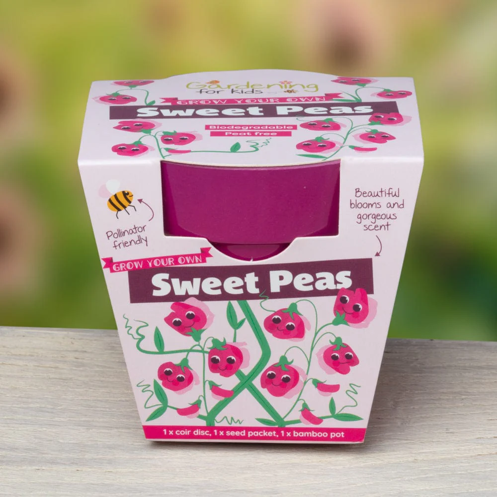 Sweet Pea Growing Kit with Pot - Image 6