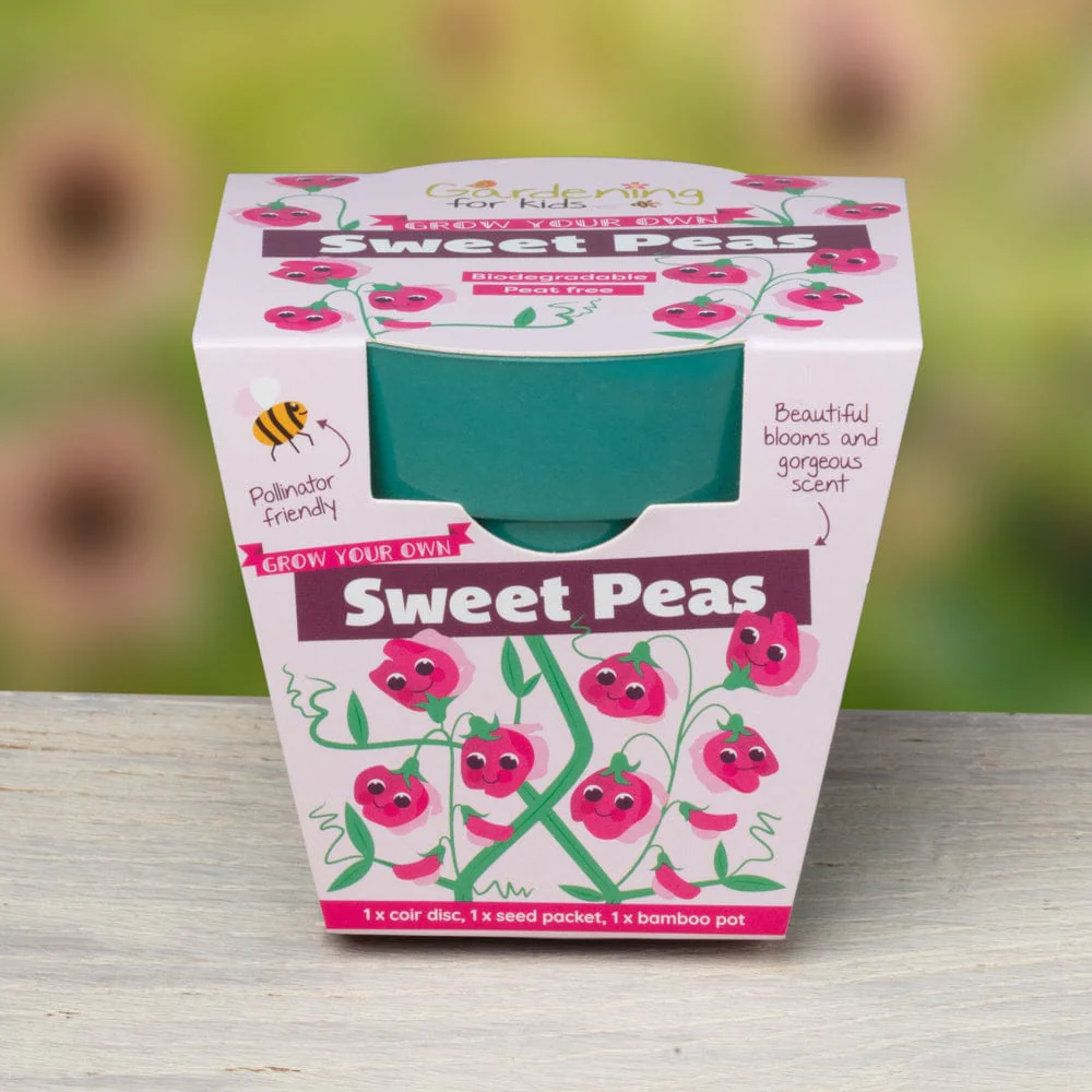 Sweet Pea Growing Kit with Pot - Image 7