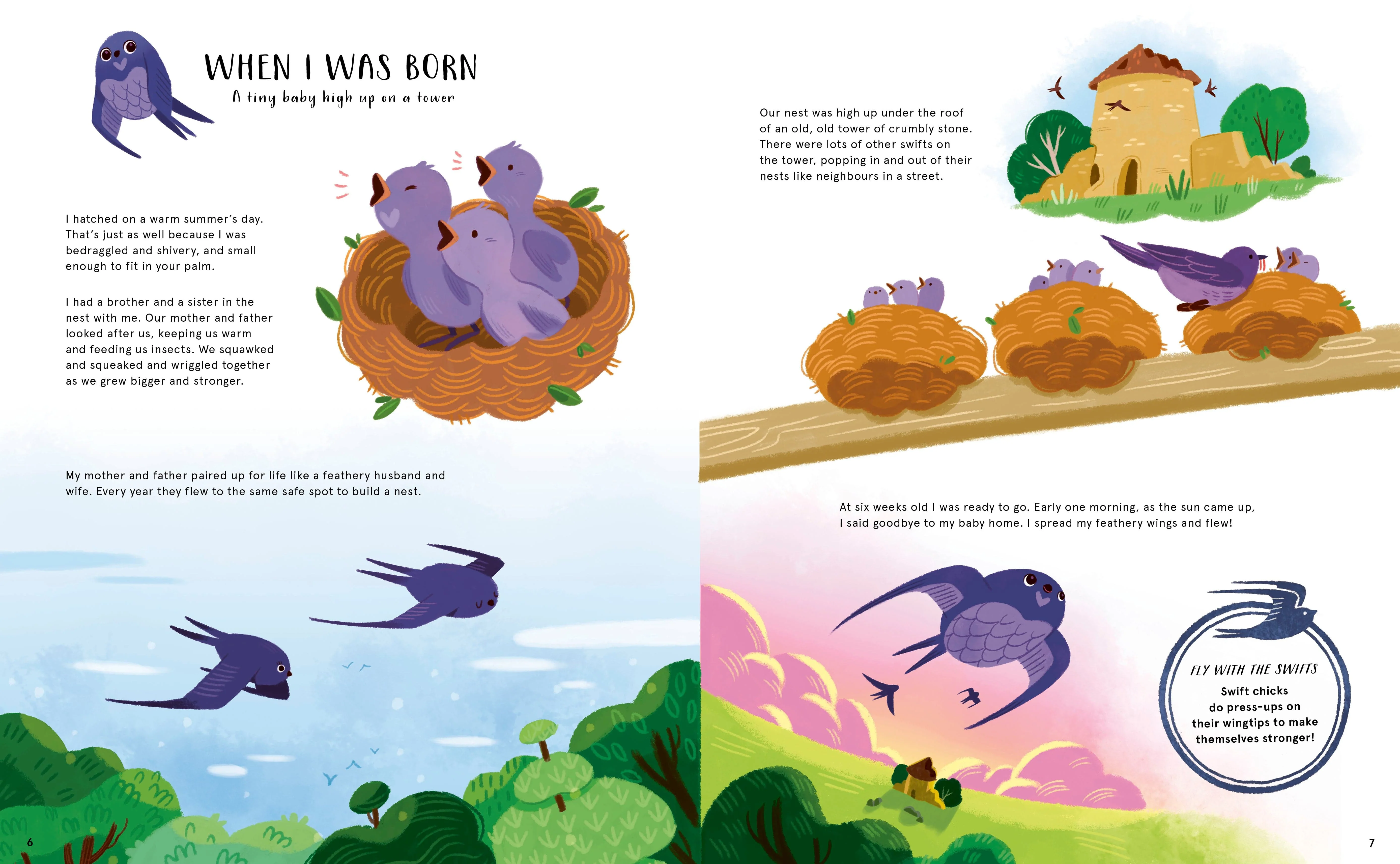 The Secret Life of Birds Children's Nature Book - Image 4