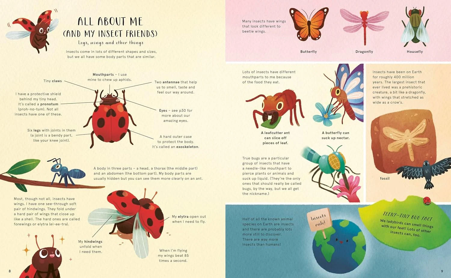 The Secret Life of Bugs Children's Nature Book - Image 3
