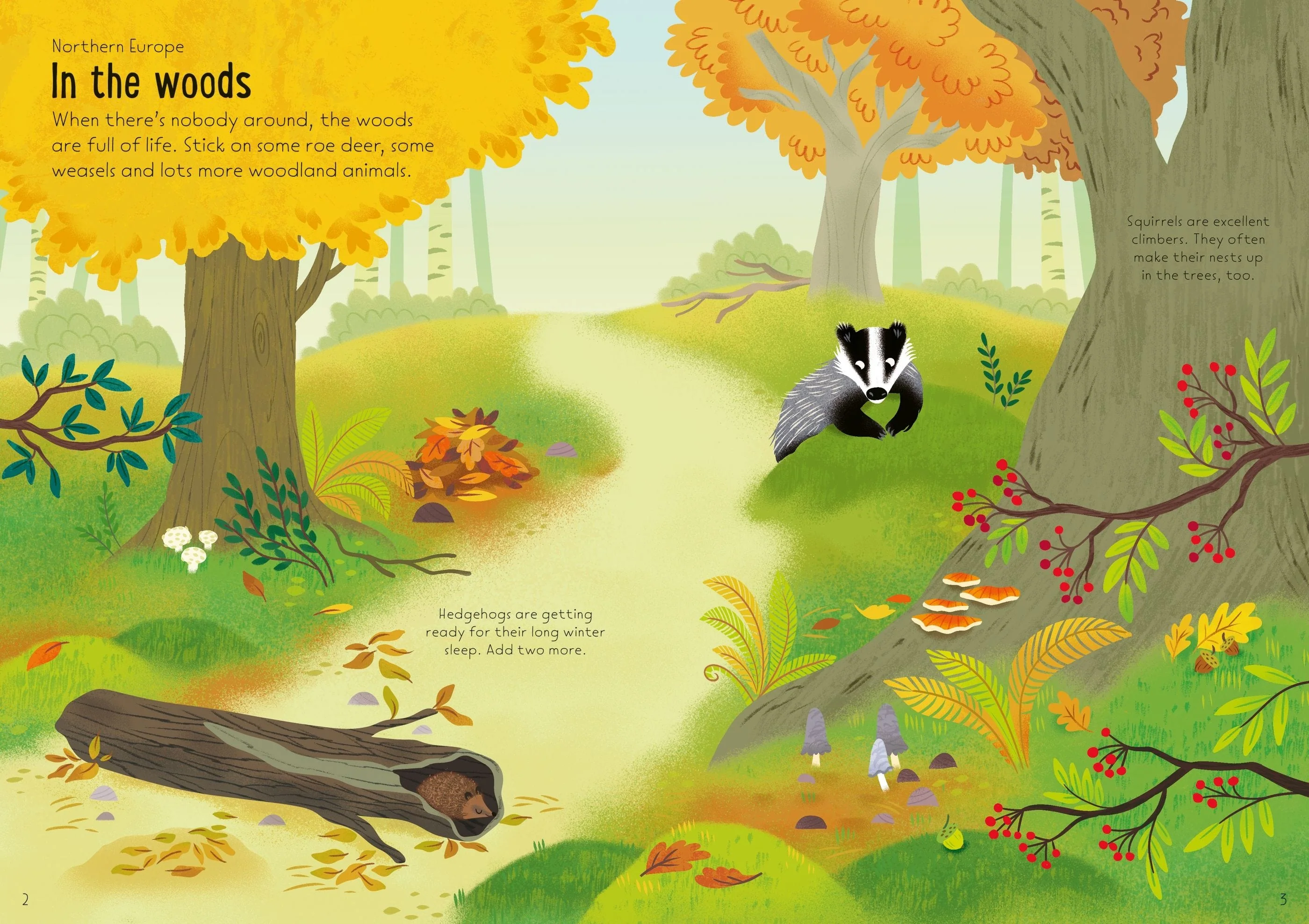 Usborne Little First Stickers Nature Book - Image 2