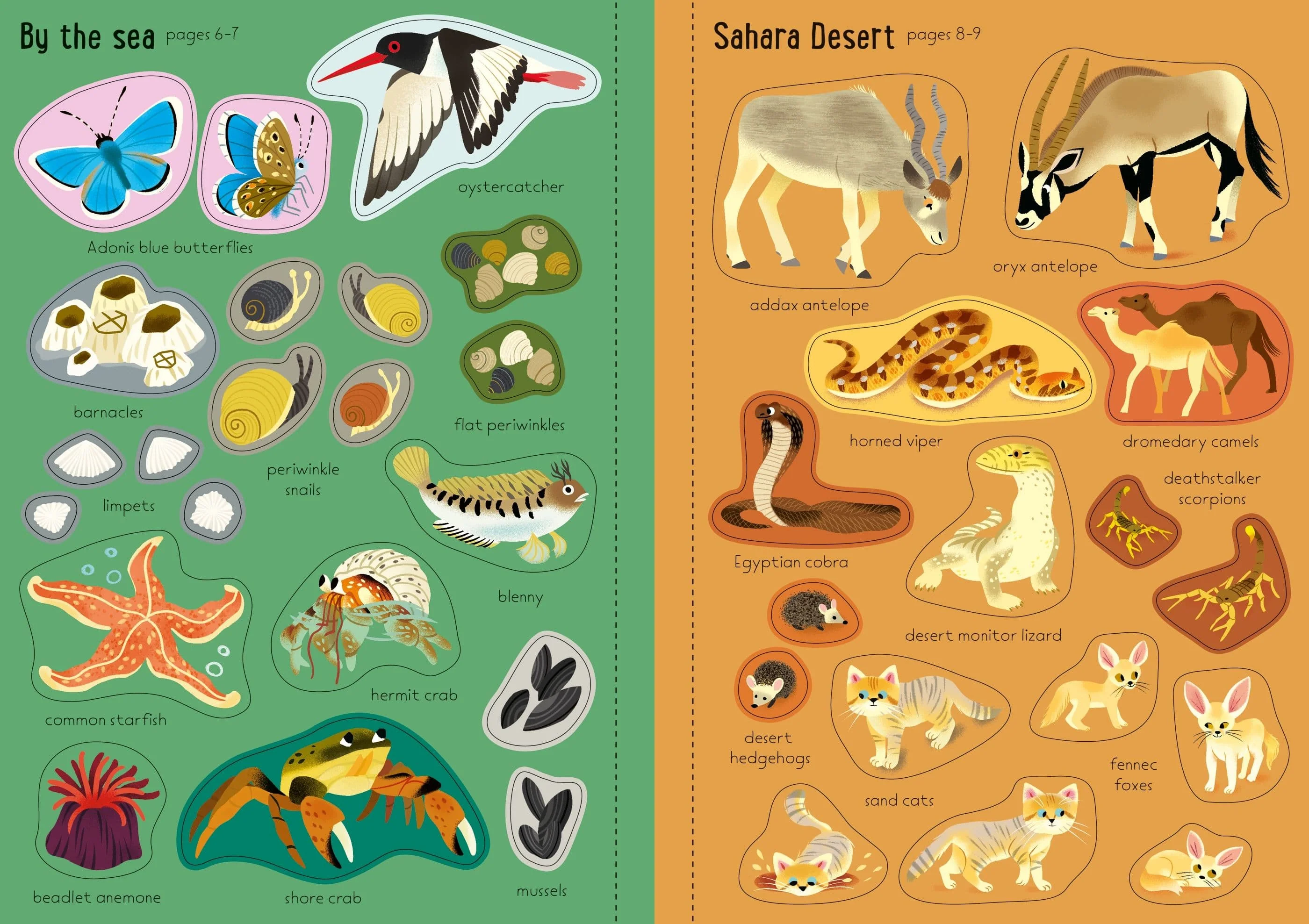 Usborne Little First Stickers Nature Book - Image 3