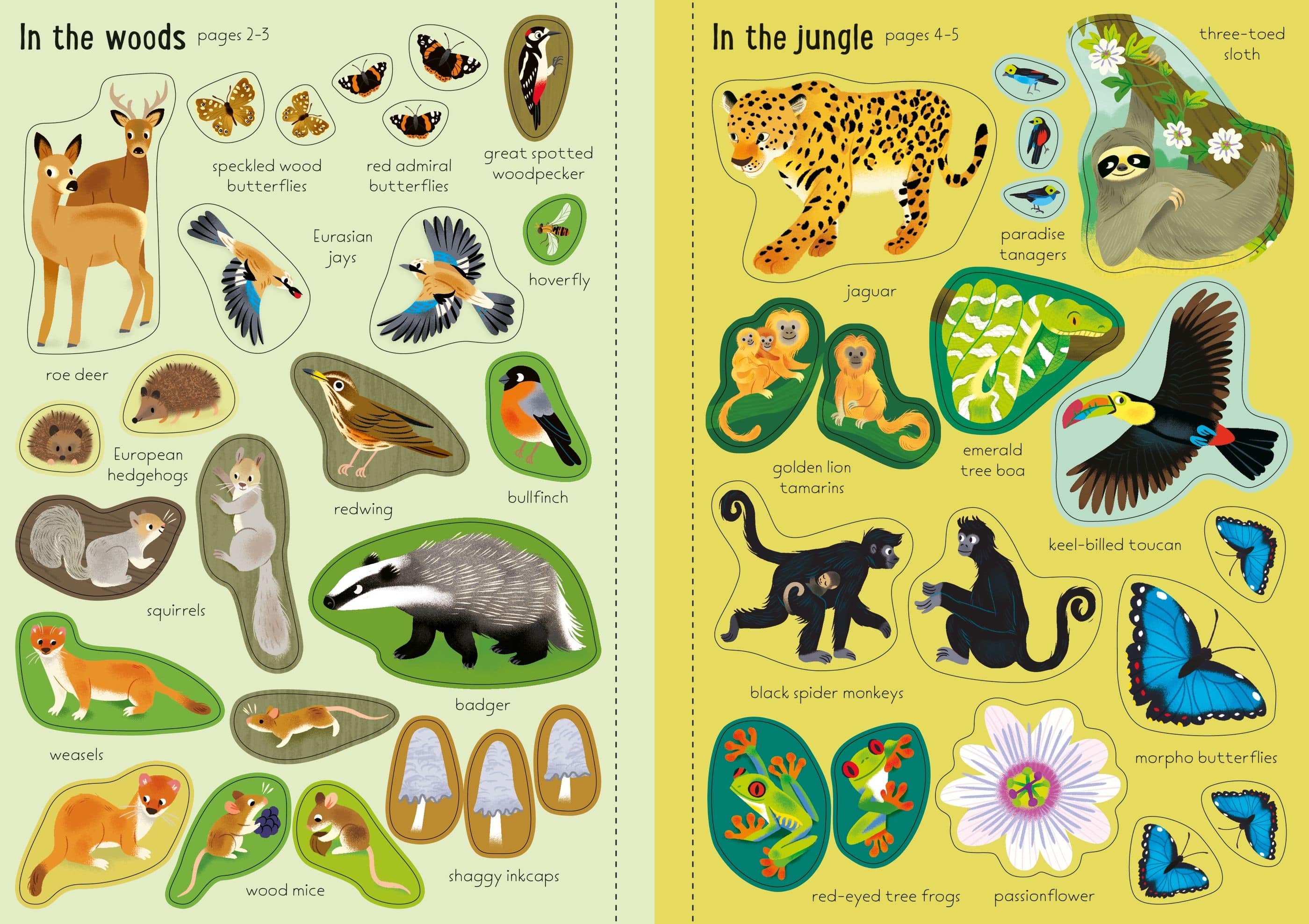 Usborne Little First Stickers Nature Book - Image 4