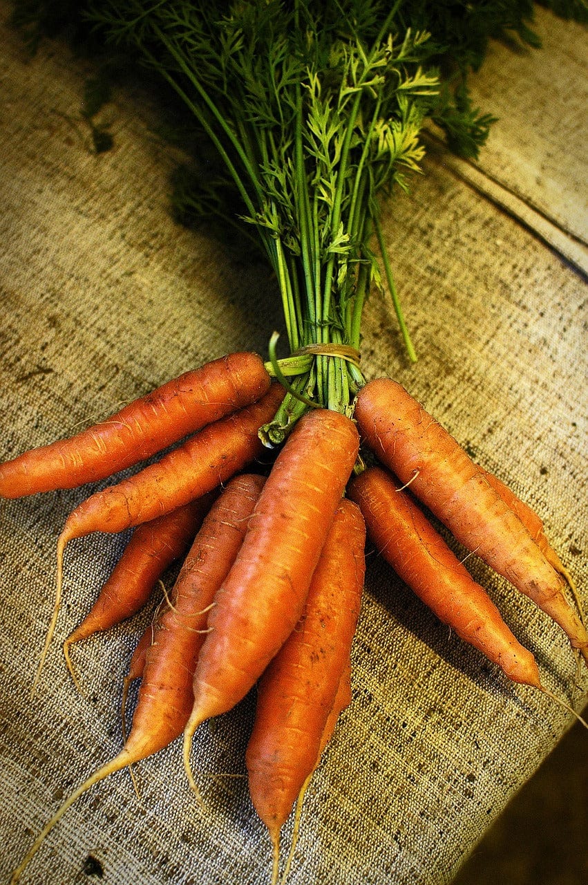 Vegetable Garden Growing Kit - Image 7