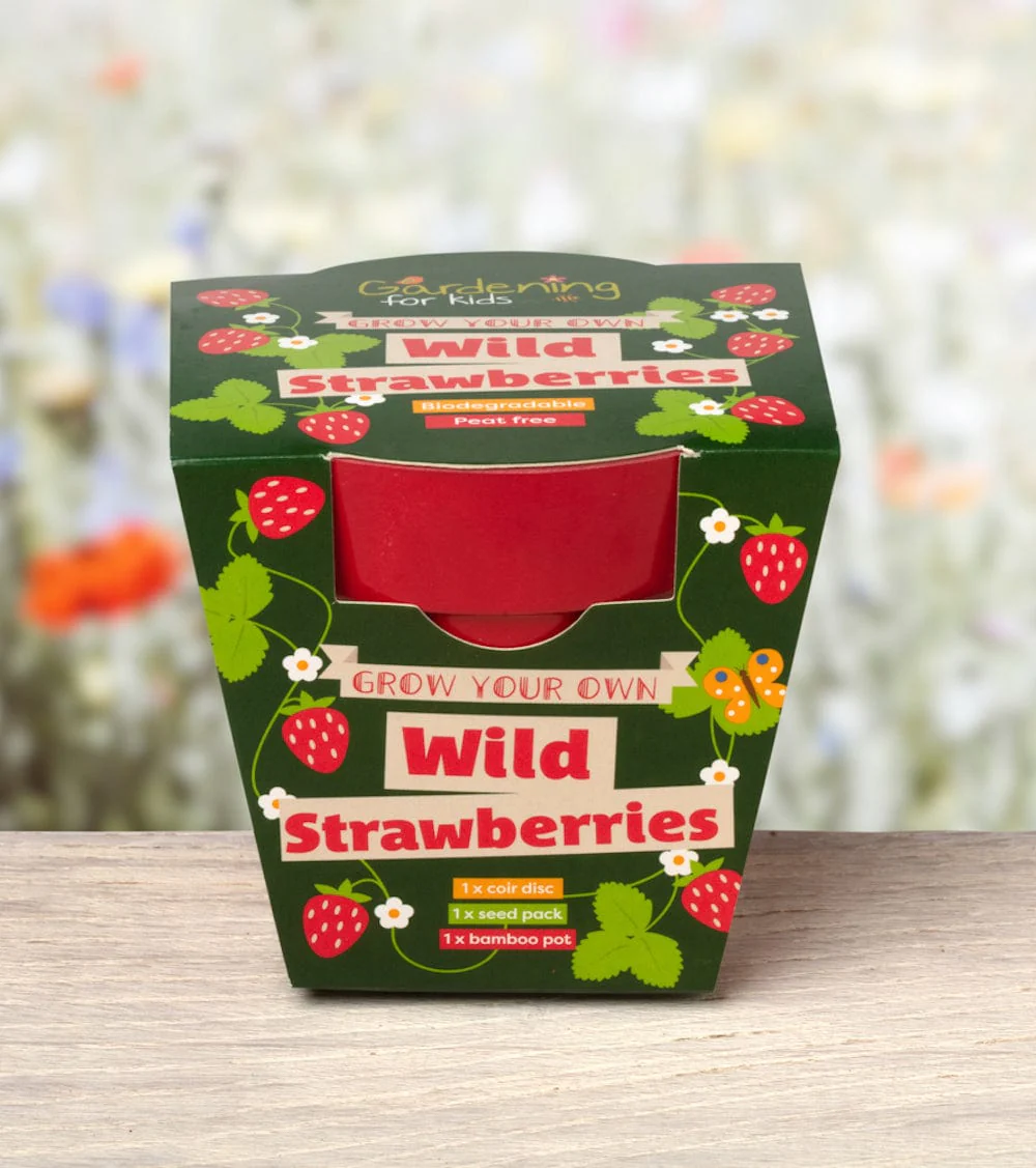 Wild Alpine Strawberry Wildflower Growing Kit with Pot - Image 3