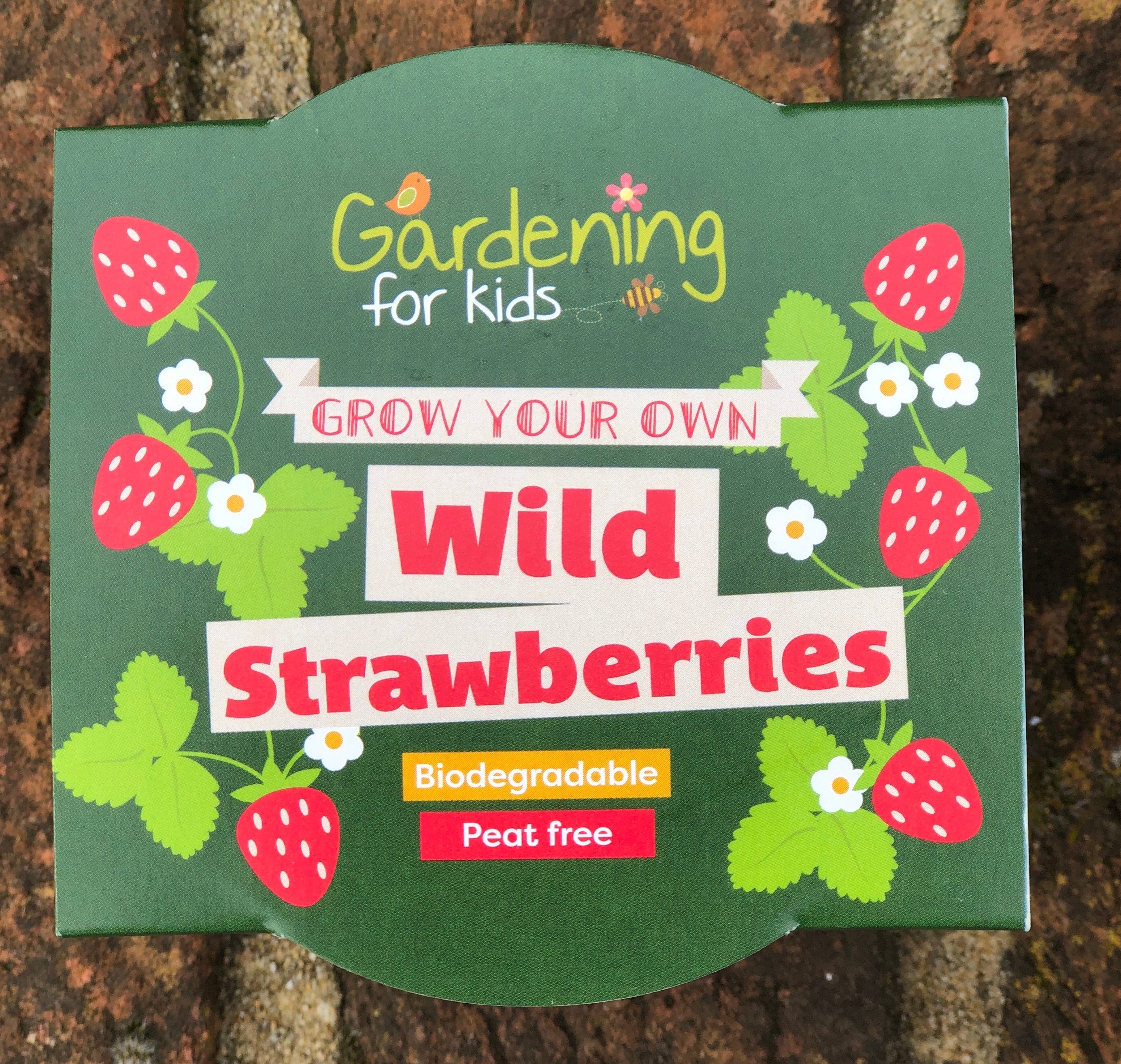 Wild Alpine Strawberry Wildflower Growing Kit with Pot - Image 4